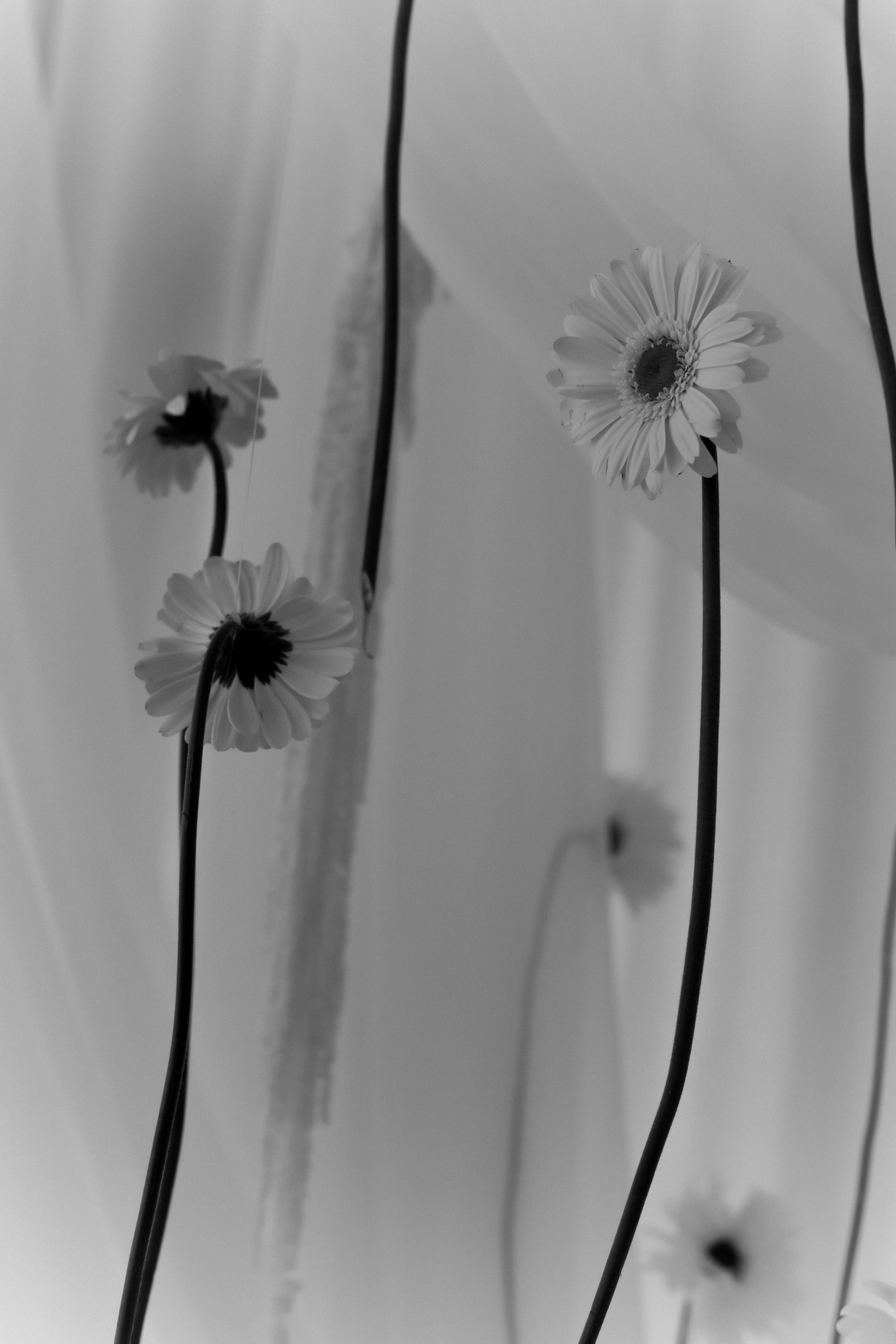 Виктория и Максим.Краснодар. Фотограф Славянск на кубани Краснодар