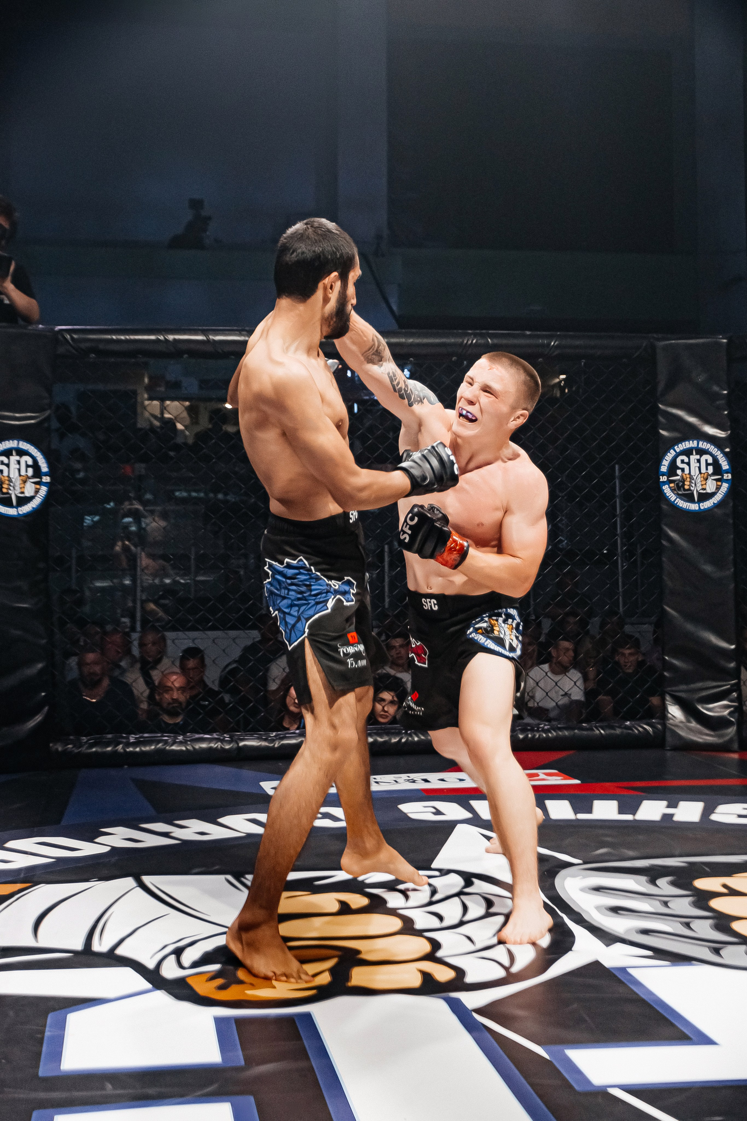 SFC III турнир по боям ММА. Аминов Руслан | Фотограф