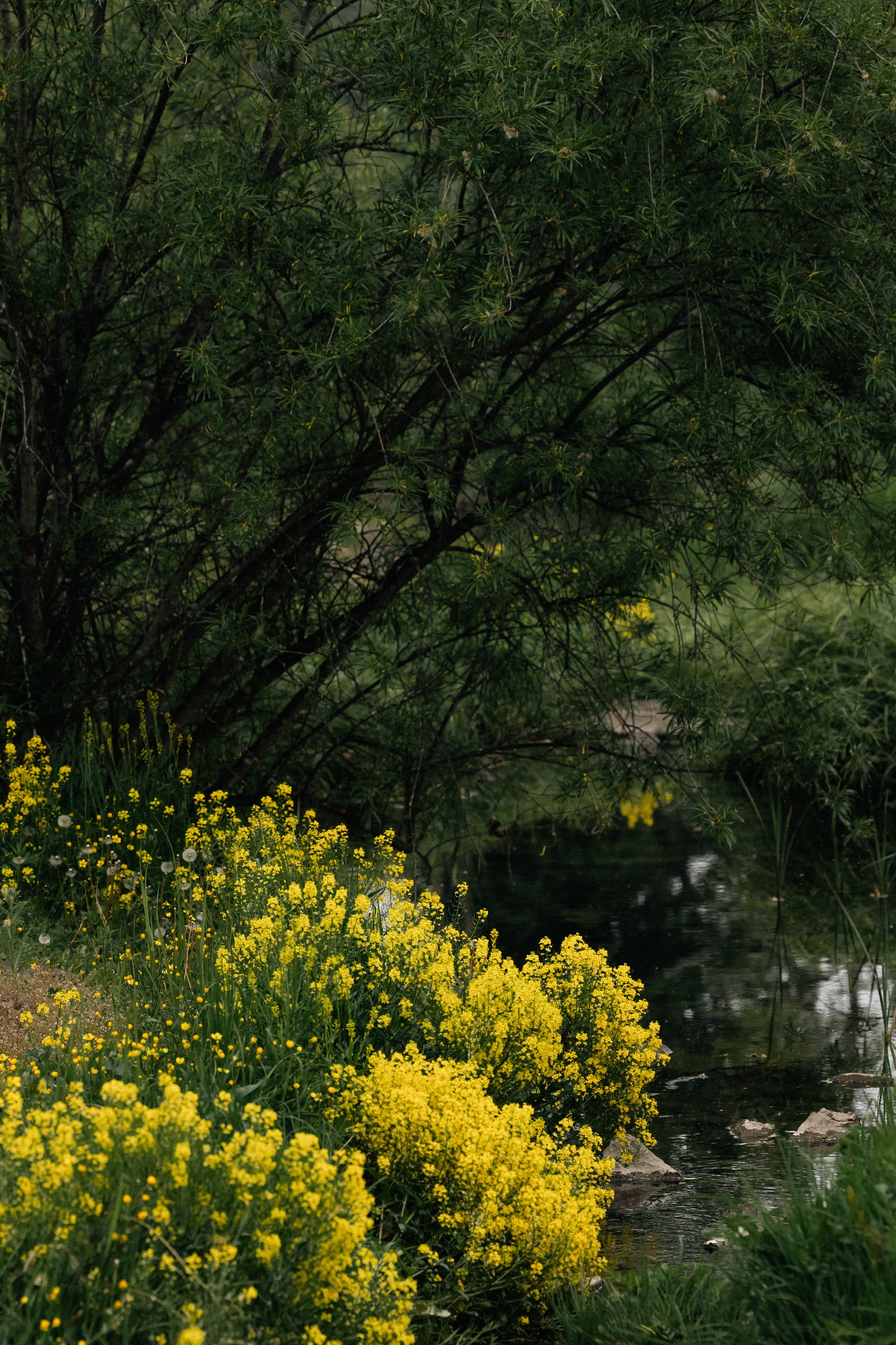 Vika. Фотограф Алексей Федорищев
