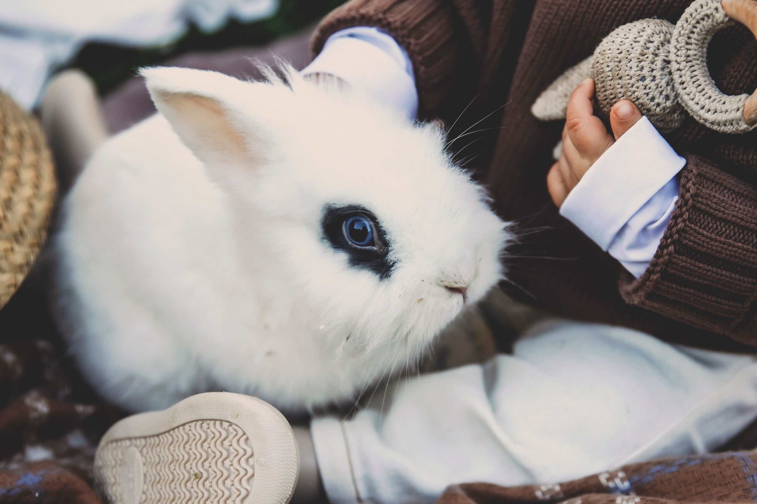 Мирославу 1 годик. Свадебный и семейный фотограф Колоскова Мария (Сочи и весь мир)