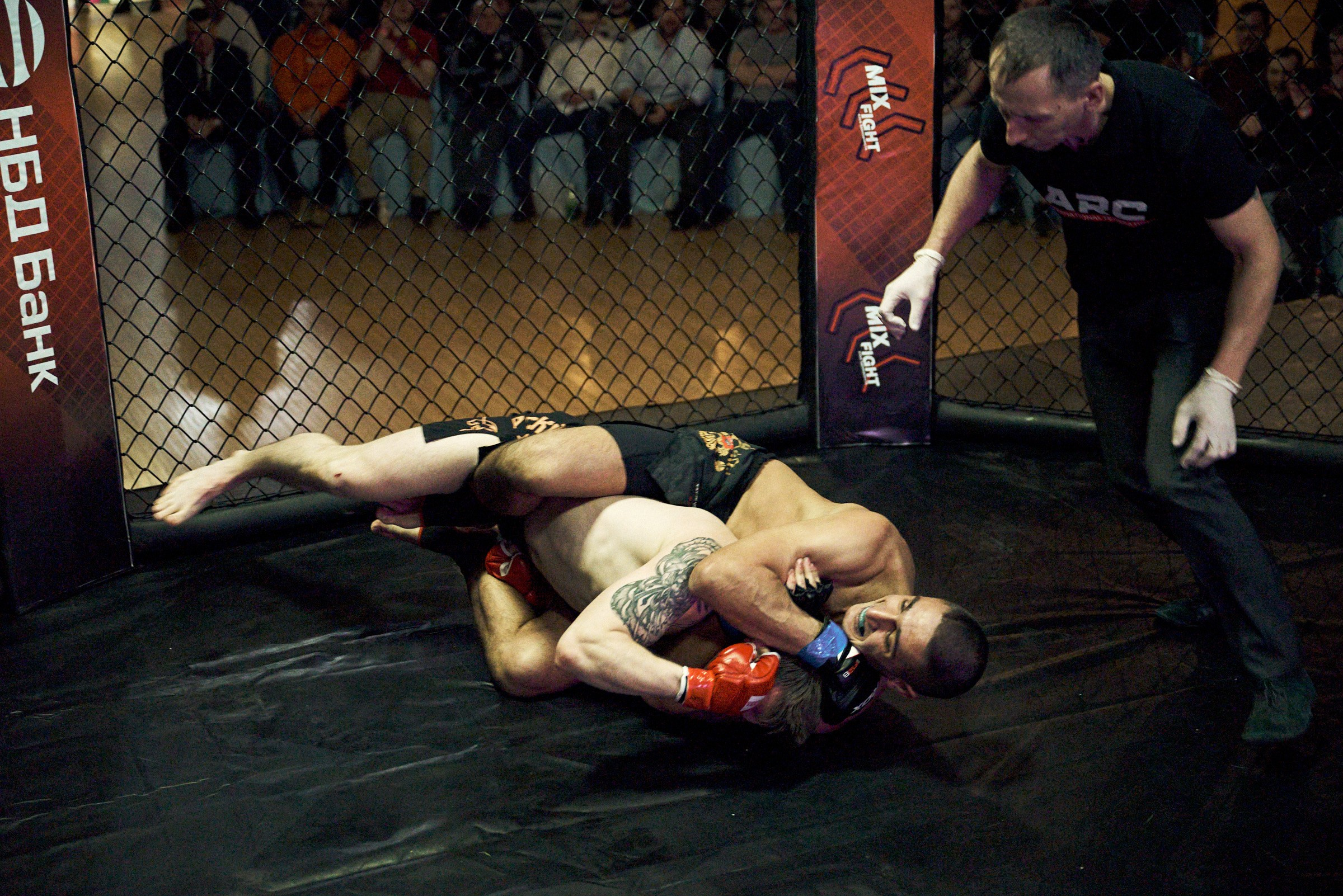 Бои. Маляревич Дмитрий свадебный фотограф