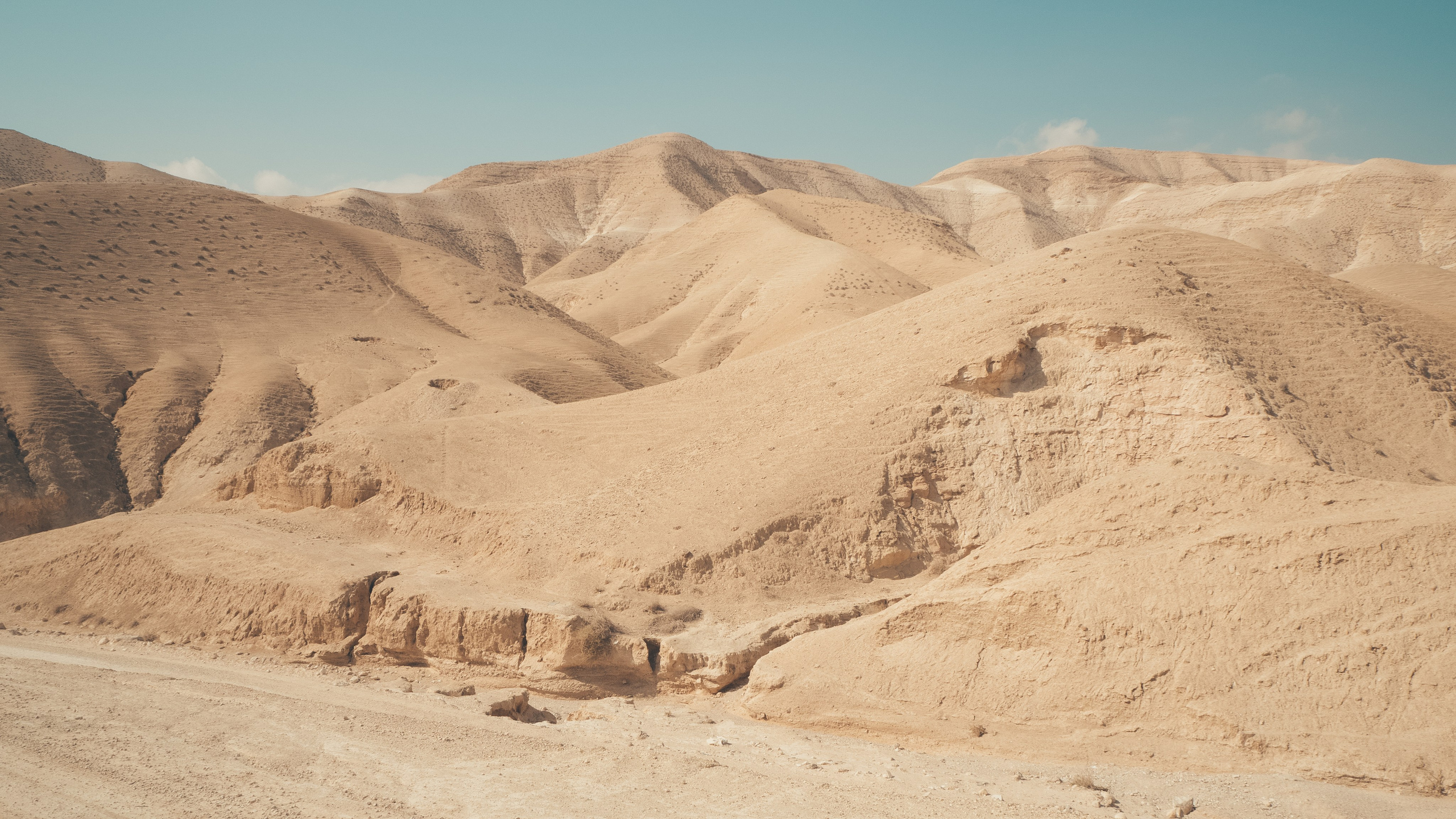 Израиль. Свадебный фотограф Копков Геннадий