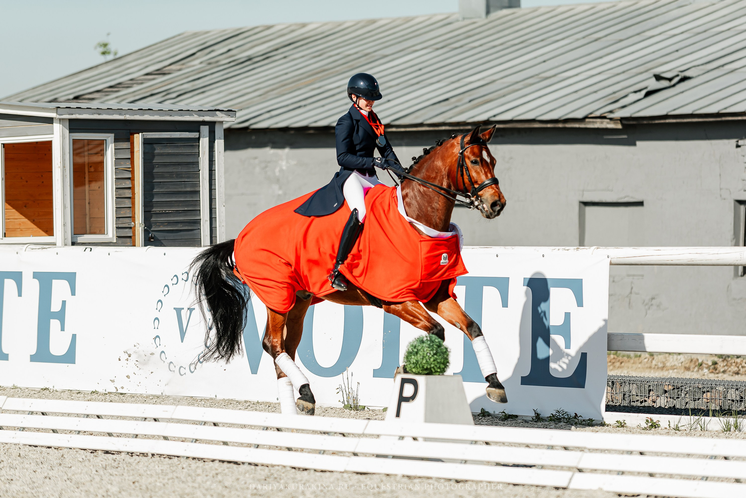 РЕПОРТАЖ МКК ВОЛЬТ «LA TULIPS». Конный фотограф Куракина Дарья • Фотосессии с лошадьми