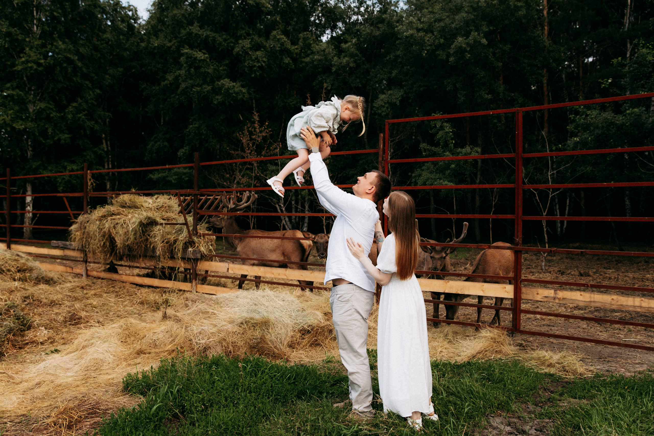 Мира и её семья. Главная