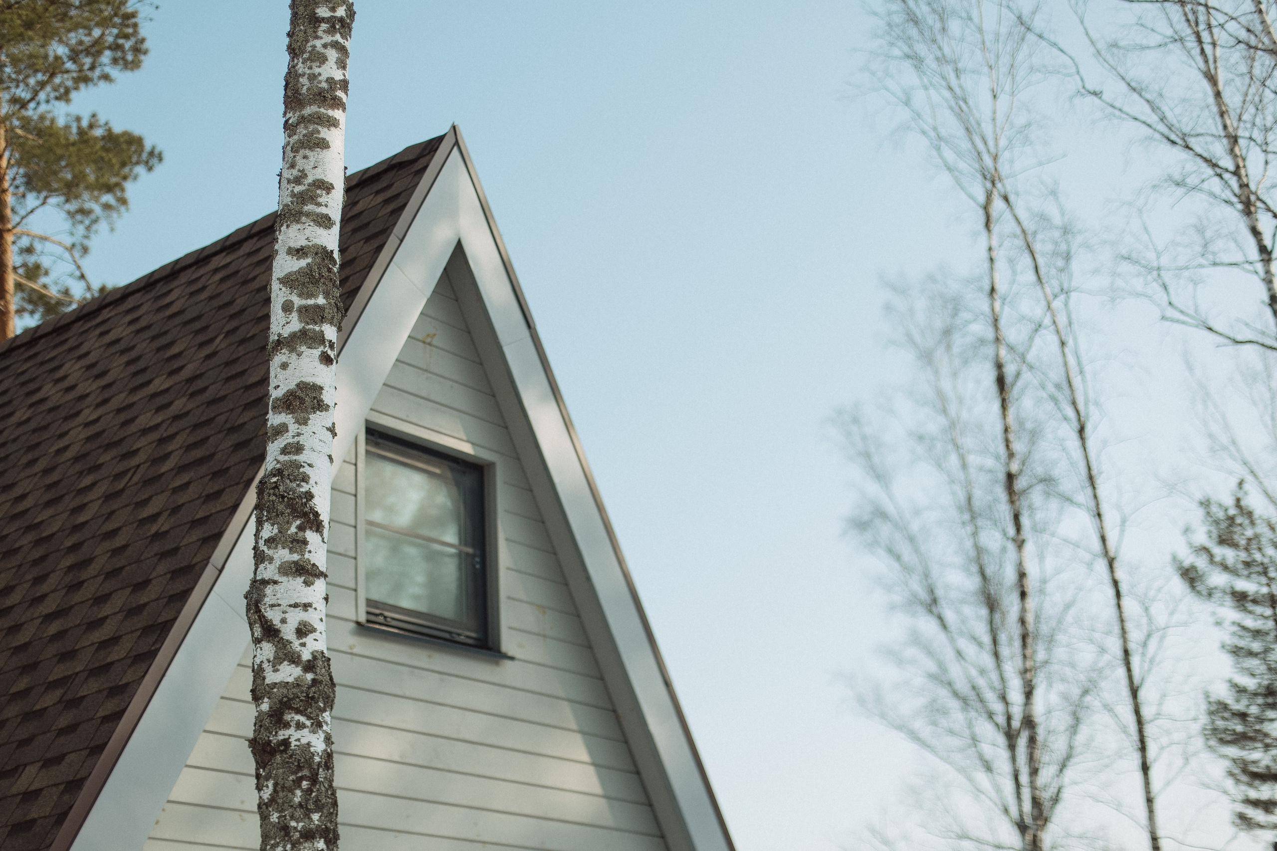 Экопарк ПОЛЯНЫ. Главная