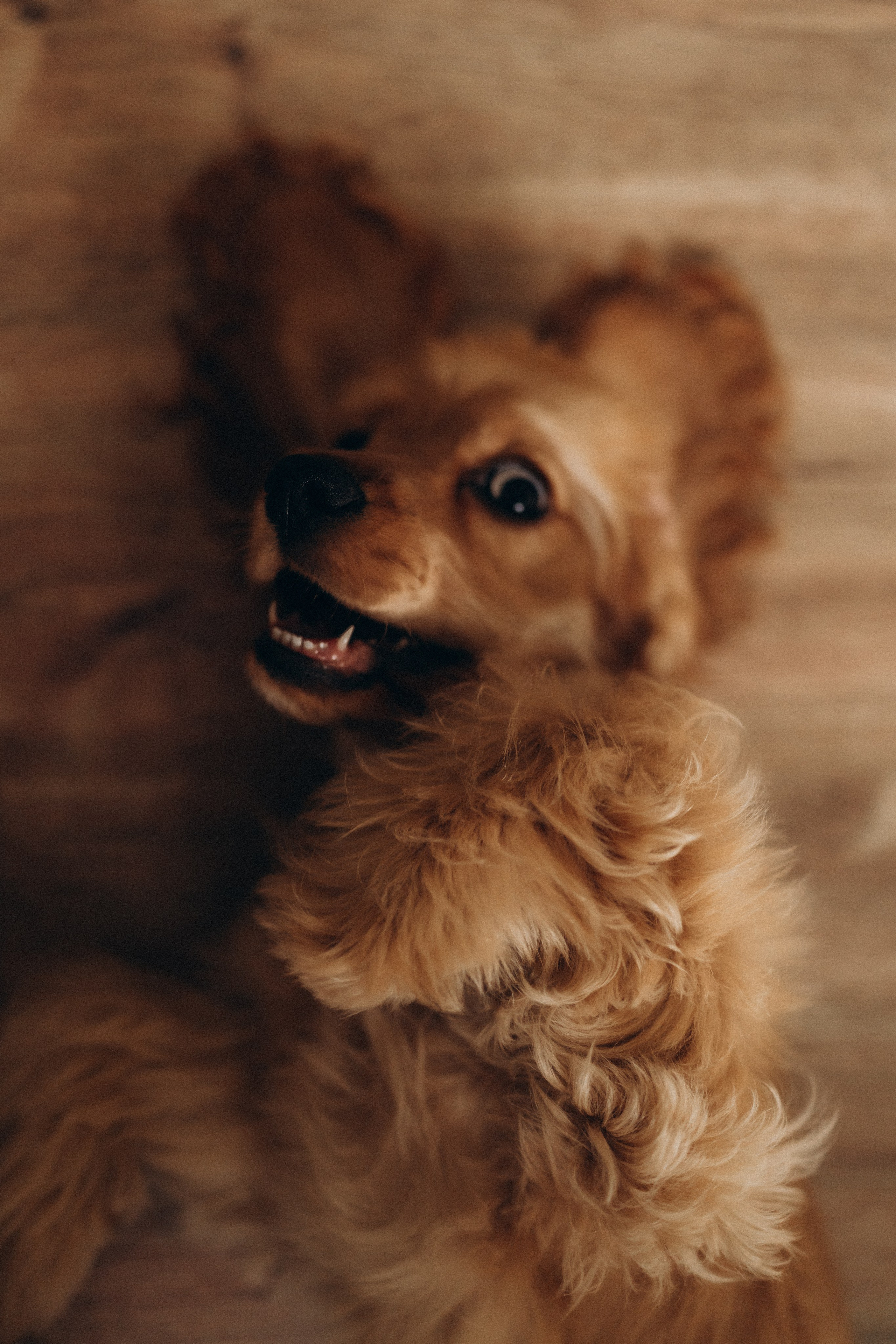 Сделано с любовью. Семейный фотограф в Ангарске/ Иркутске