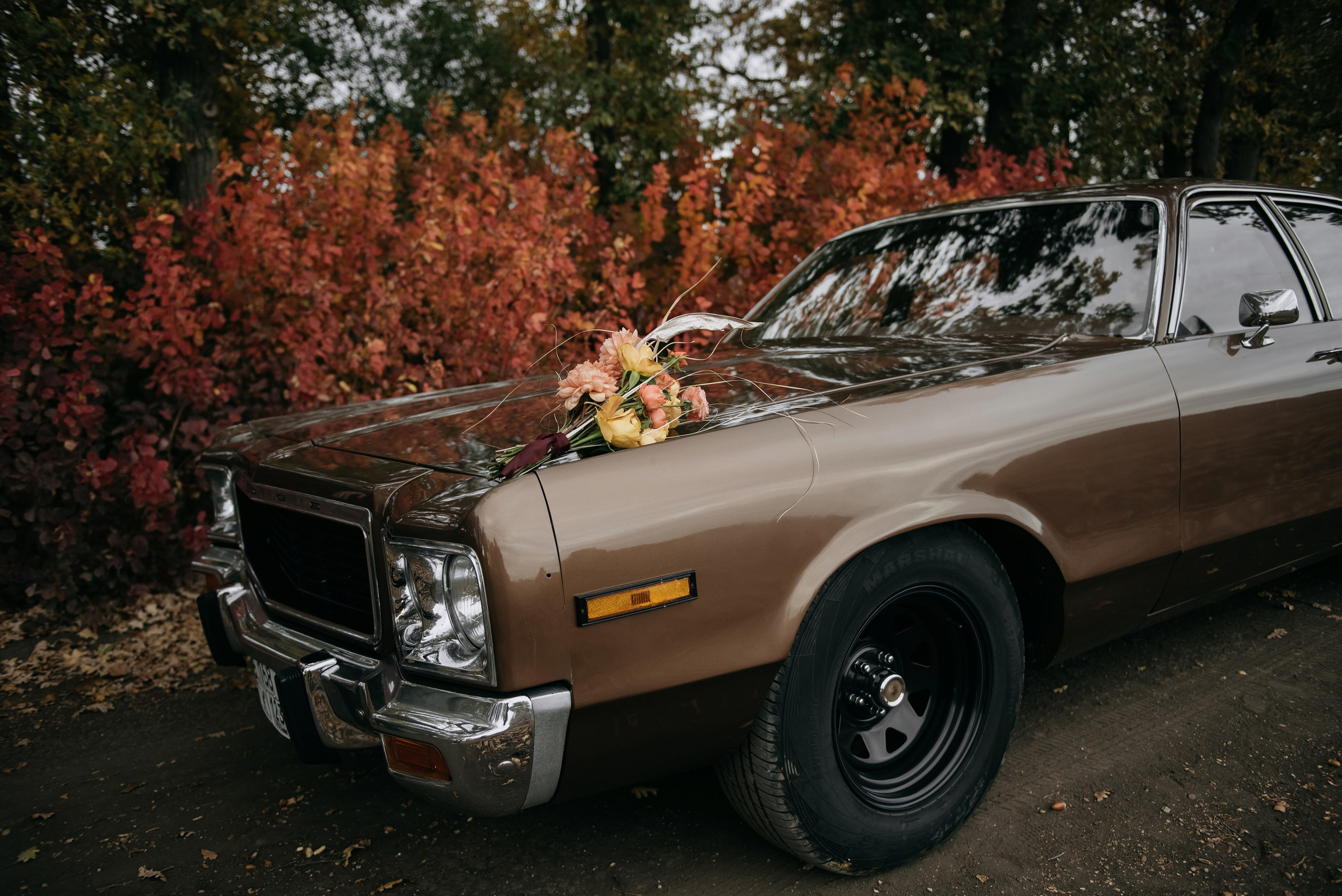 В каждом мгновении осень. Свадебный и семейный фотограф Темрюк Алёна Ковальская