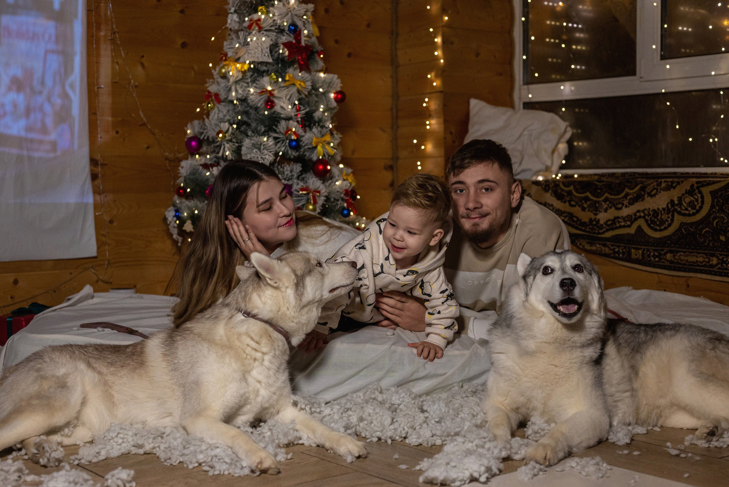 Фотопроект с хаски 2024 г. Фотограф в городе Салават