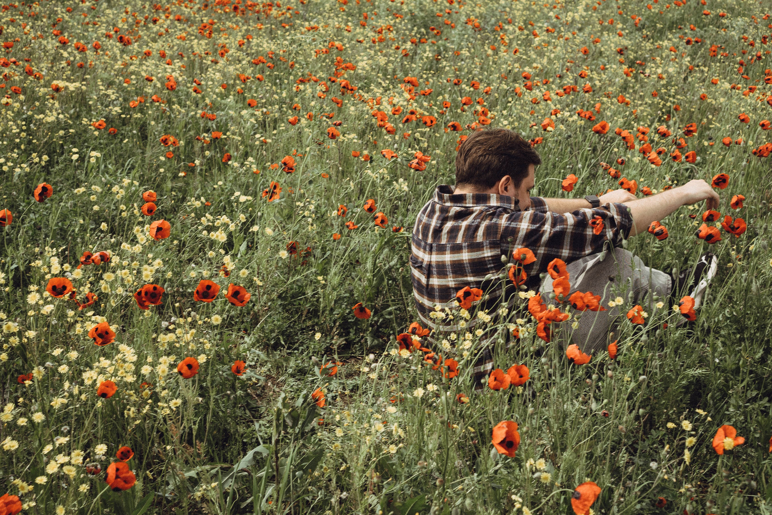 Маки. Профессиональный фотограф, Санкт-Петербург — Виктория Богомолова