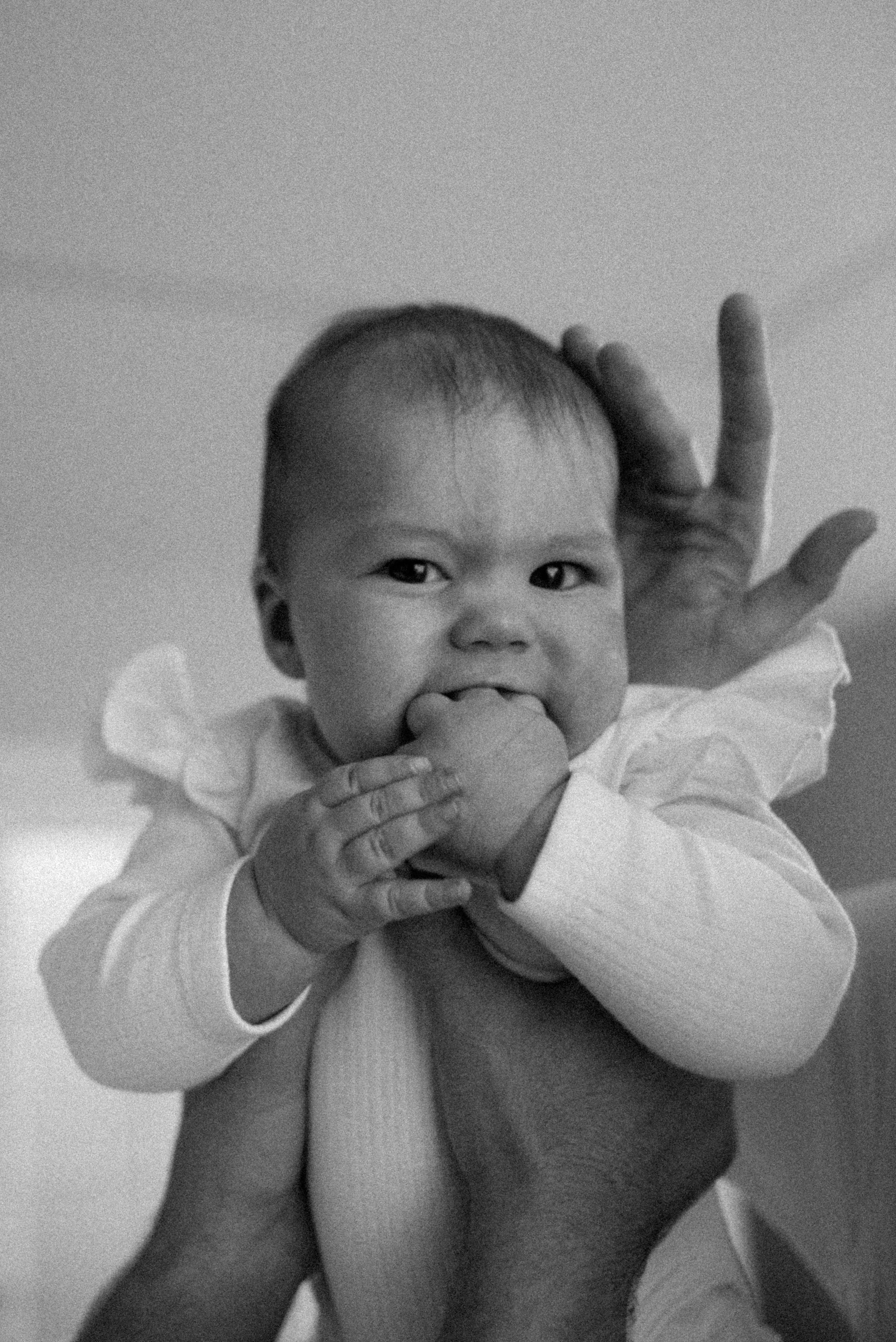 Домашняя 26.11.23. Галина Чекунова Фотограф в Ростове-на-Дону