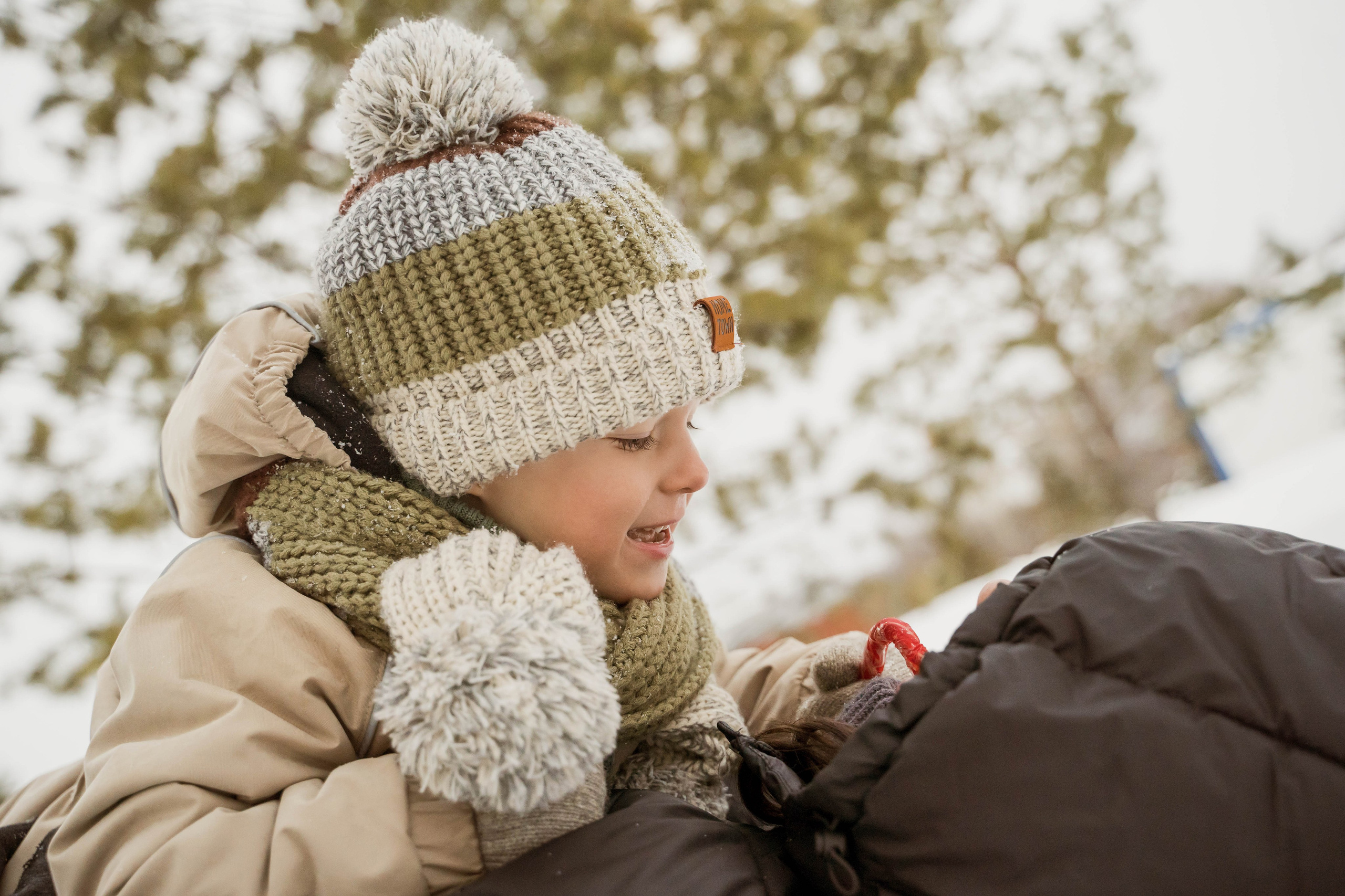 Зимняя прогулка. Главная