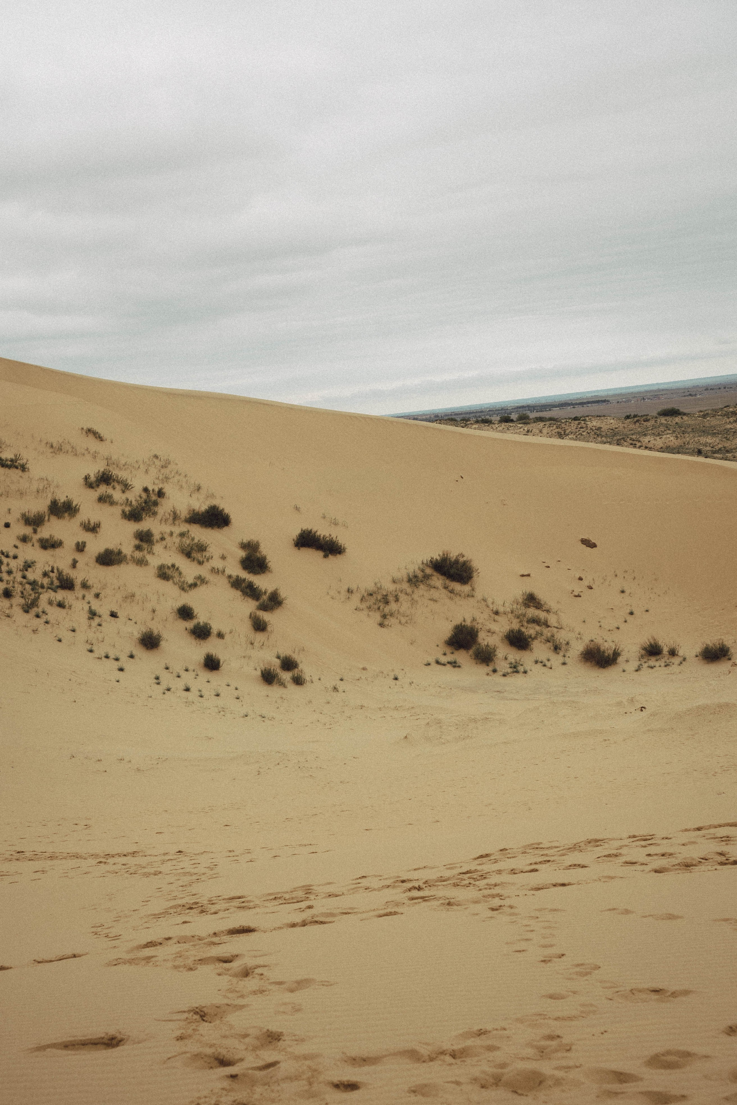 Кавказ. Профессиональный фотограф, Санкт-Петербург — Виктория Богомолова