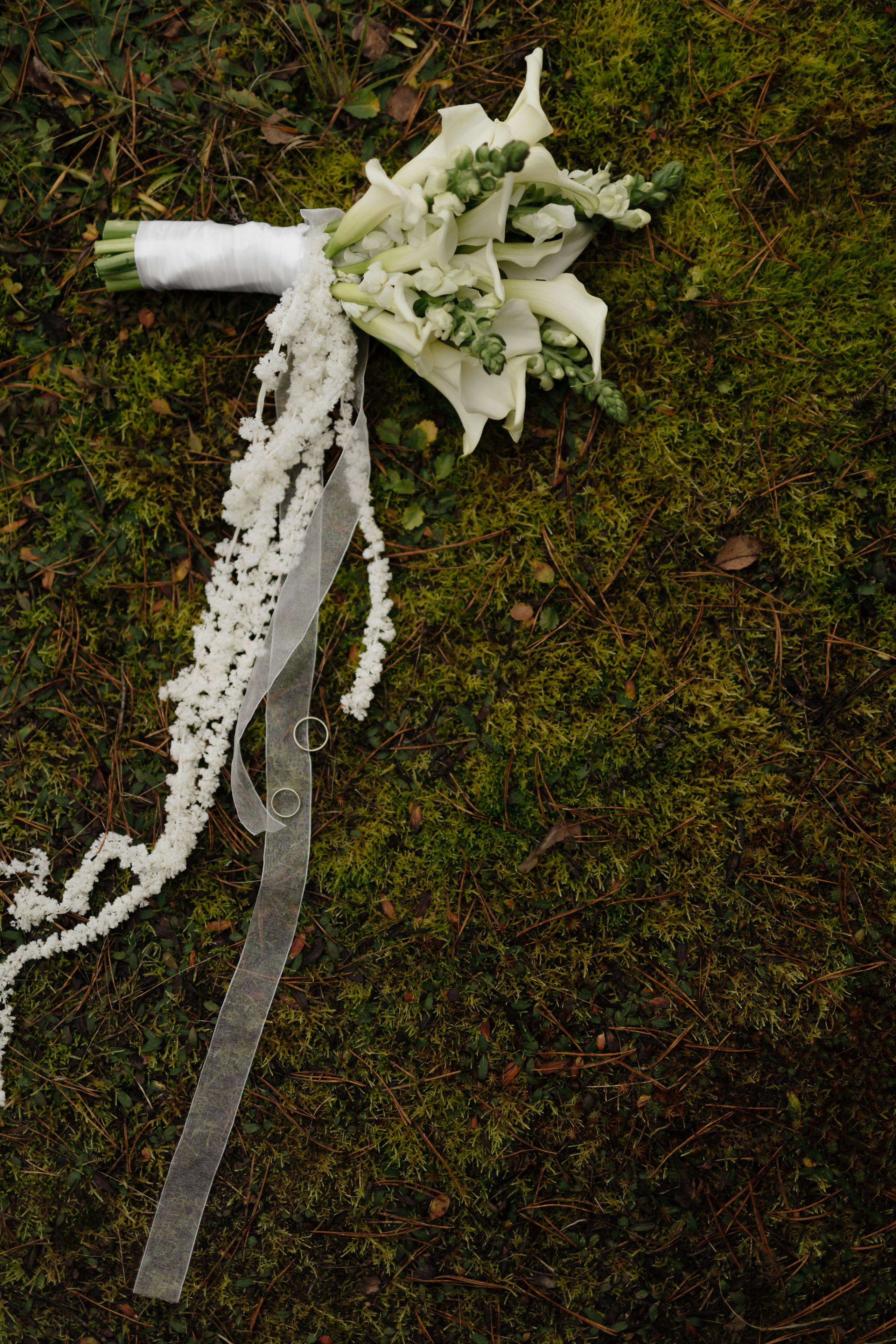 Свадьба Кирилла и Елизаветы. Фотограф Кольчугино/Владимир/Москва Елизавета Иода