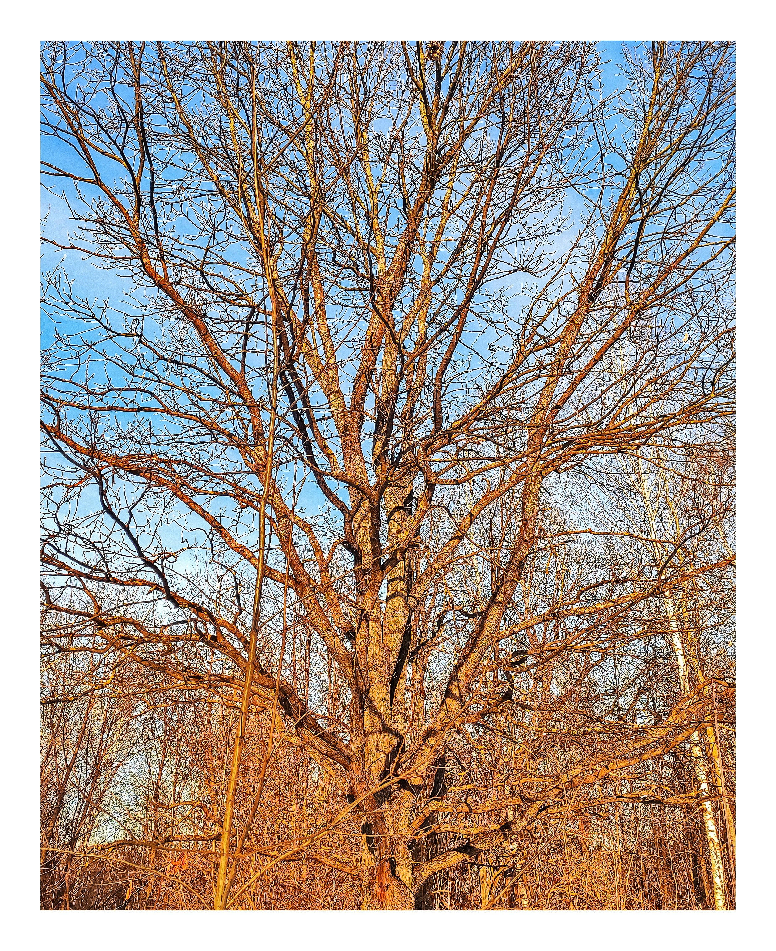 Мир повседневных Вещей. Репортажный и портретный фотограф, Влад Хафизов, Москва