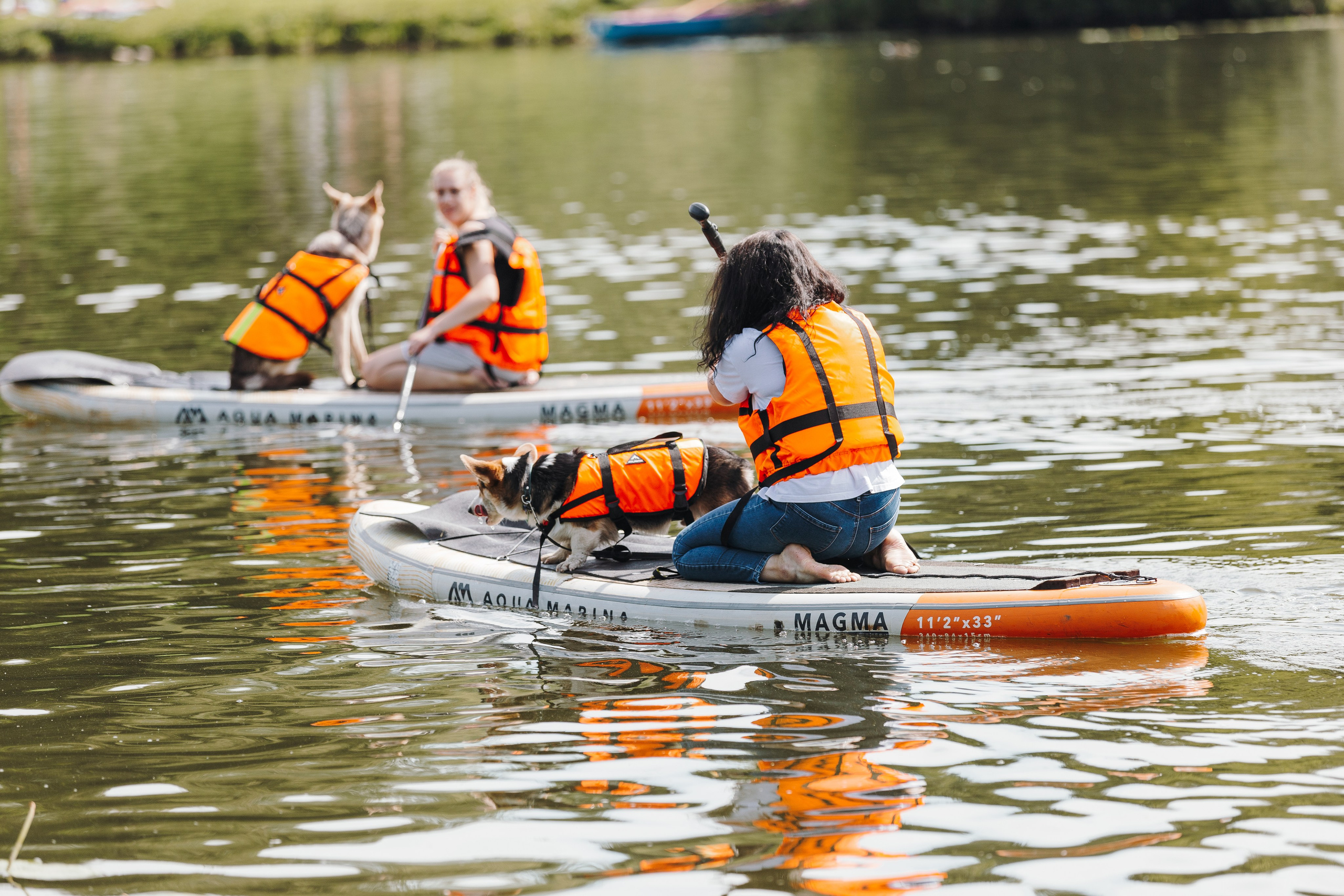 Petshop Sup day. Фотограф анималист Кристина Карпова, Москва
