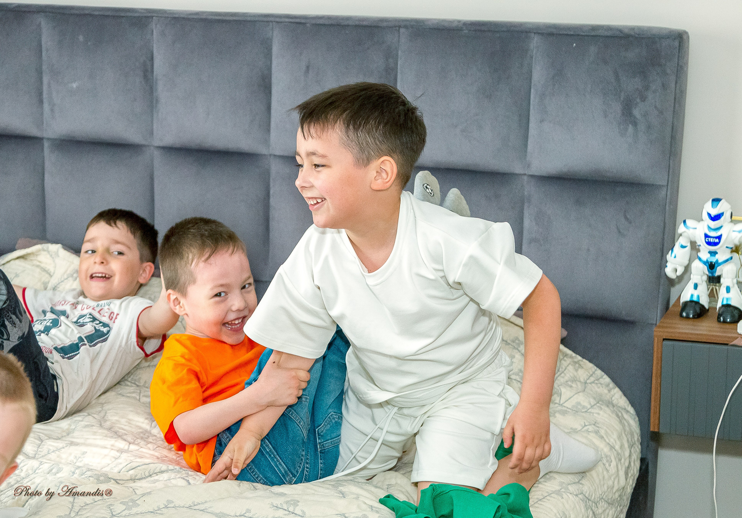 День рождения Лёвы (6 лет). Репортажная съемка в Москве и области. Анималистика