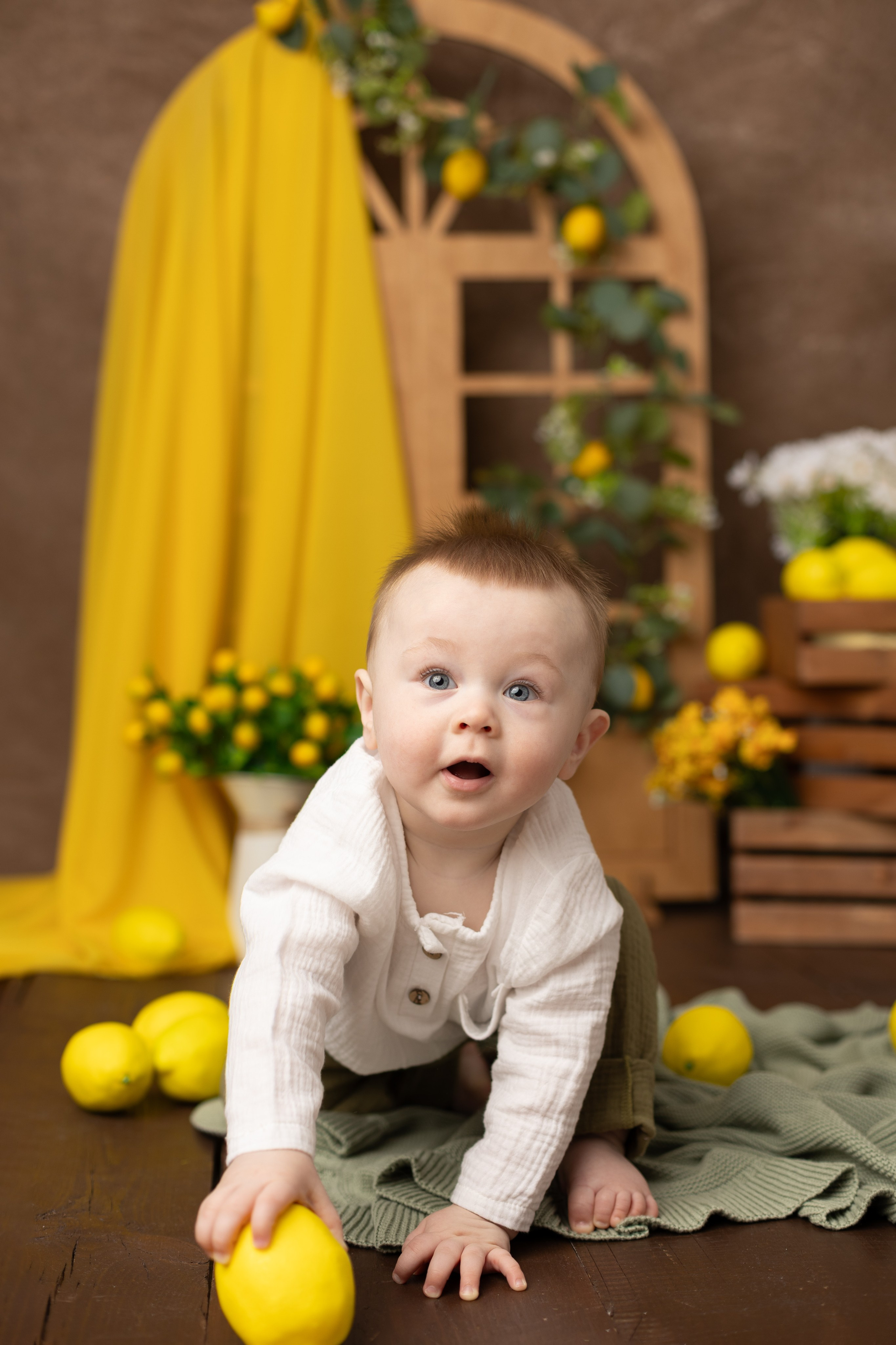 Лимоны. Фотограф новорожденных, детский фотограф в г. Оренбурге Екатерина Козлова