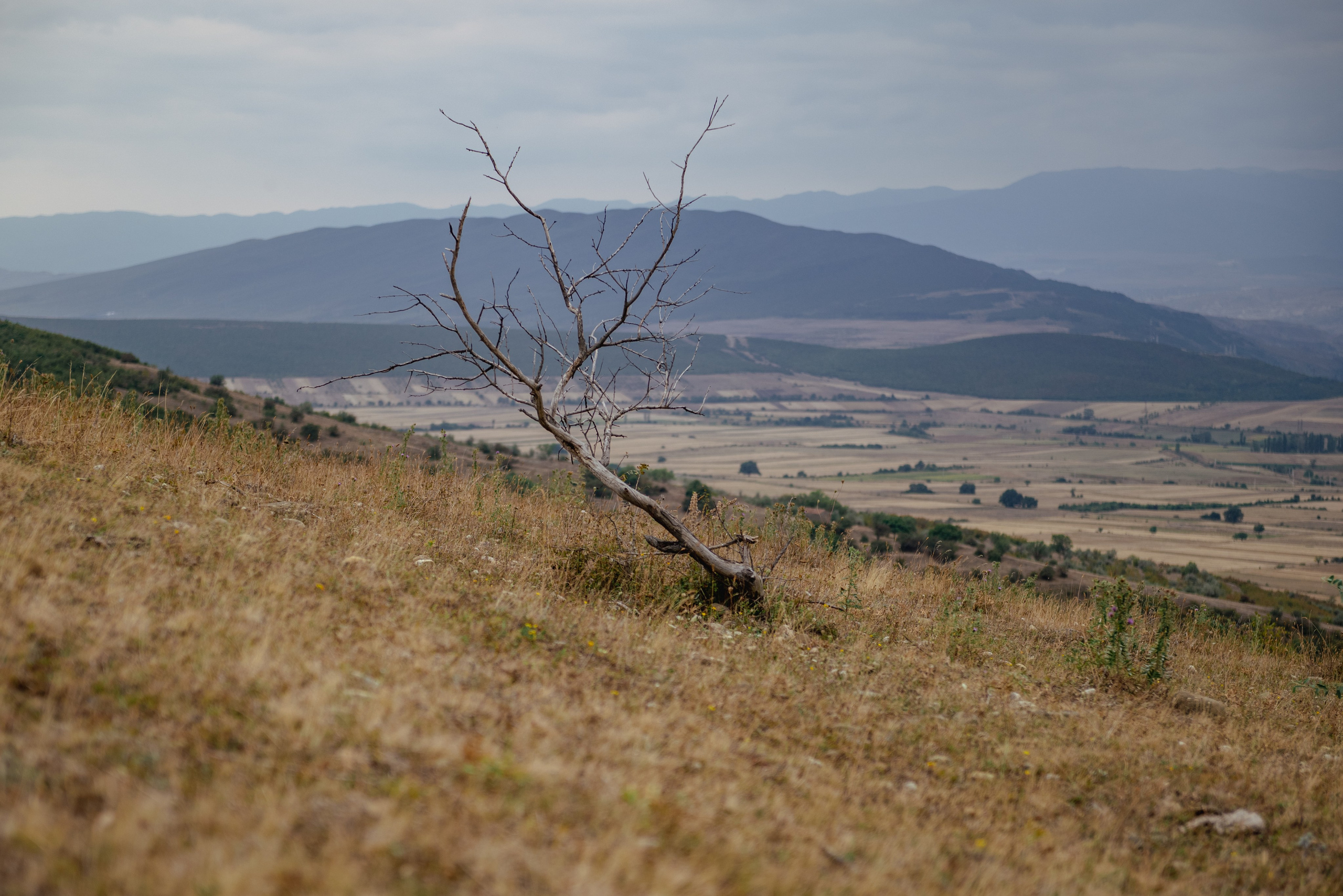 Крепость Схвило. Фотограф Лика Гомиашвили Тбилиси Грузия