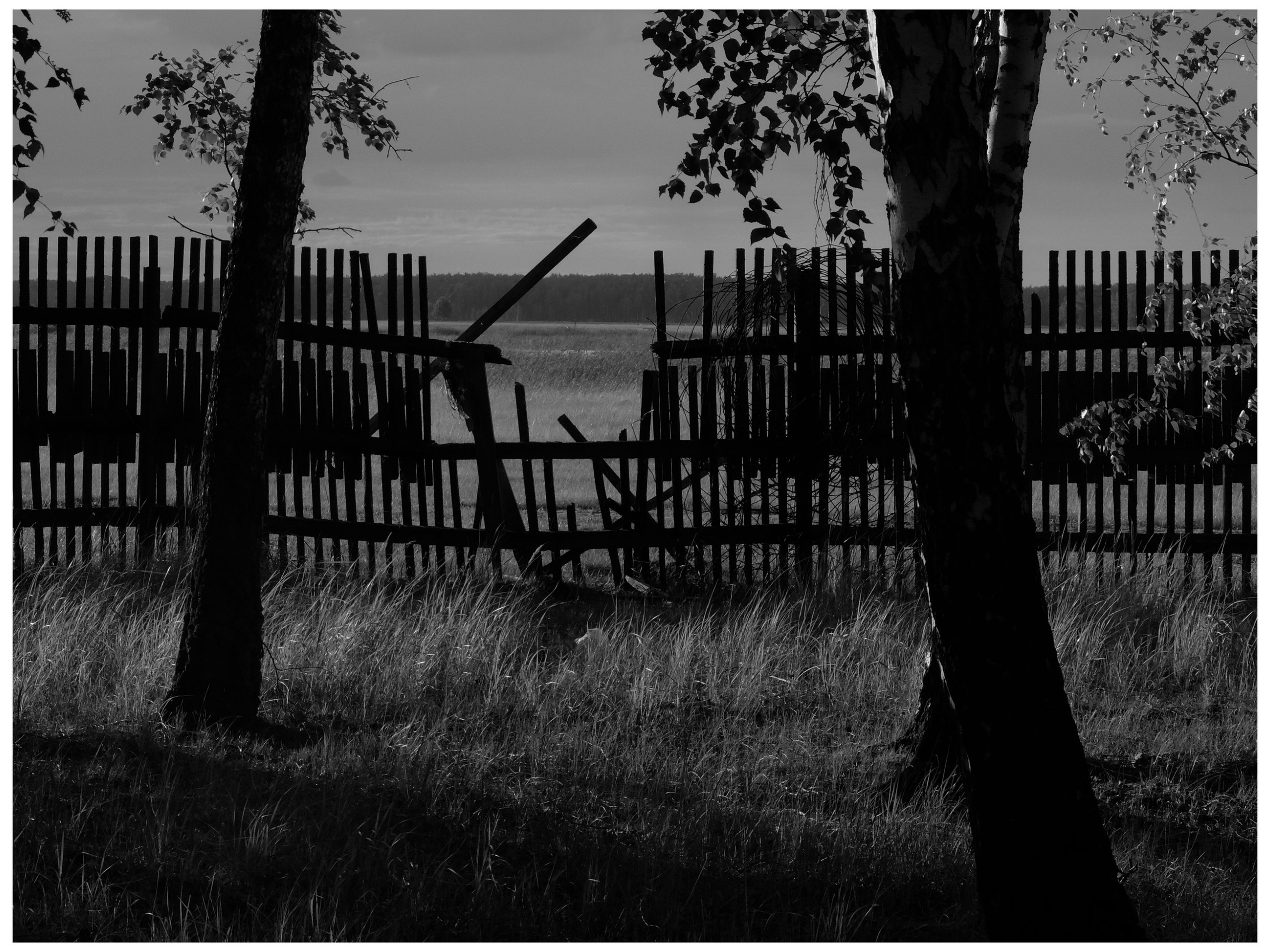 Промежуточные моменты (2022)