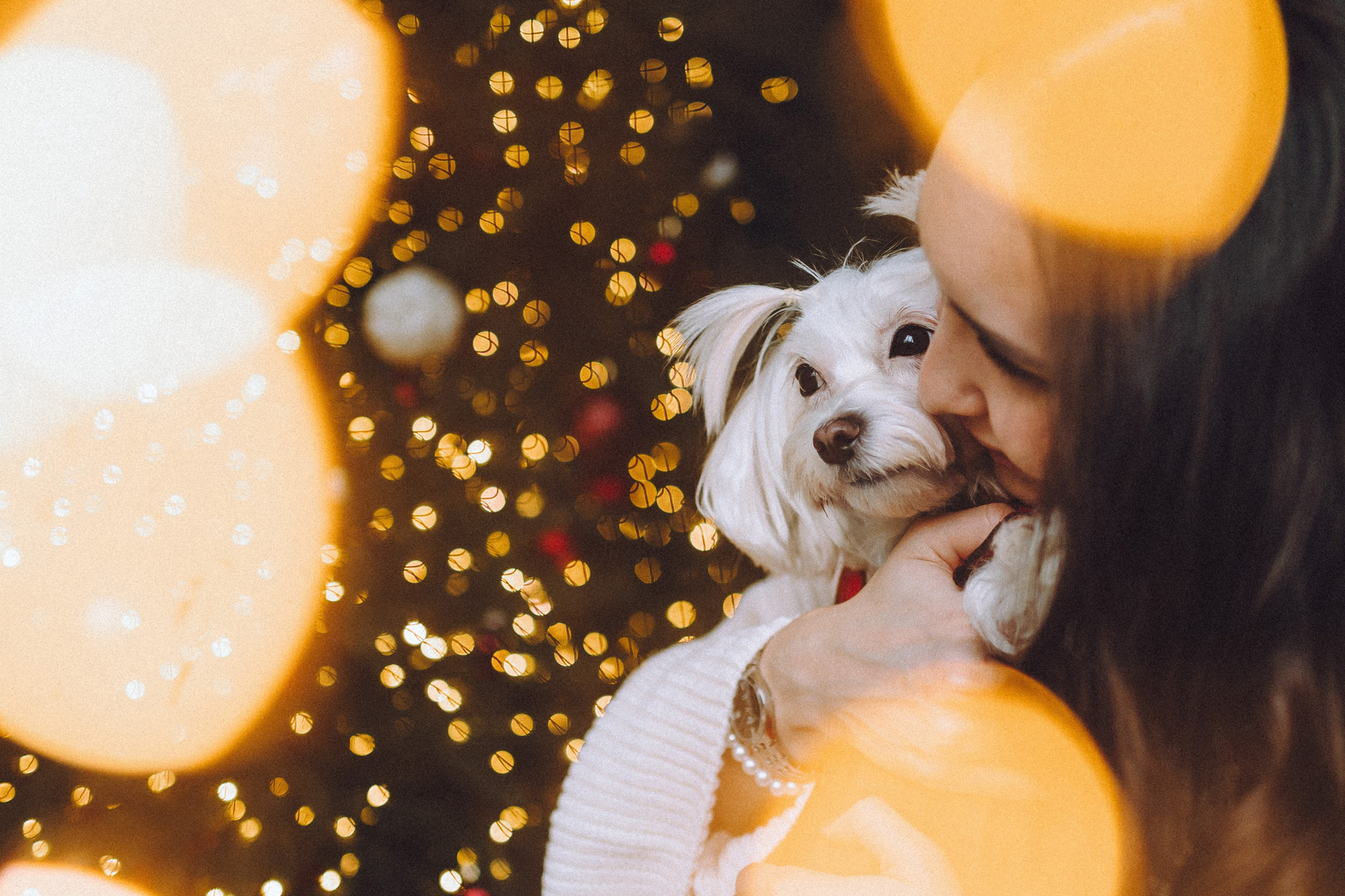 Констанция и Молли