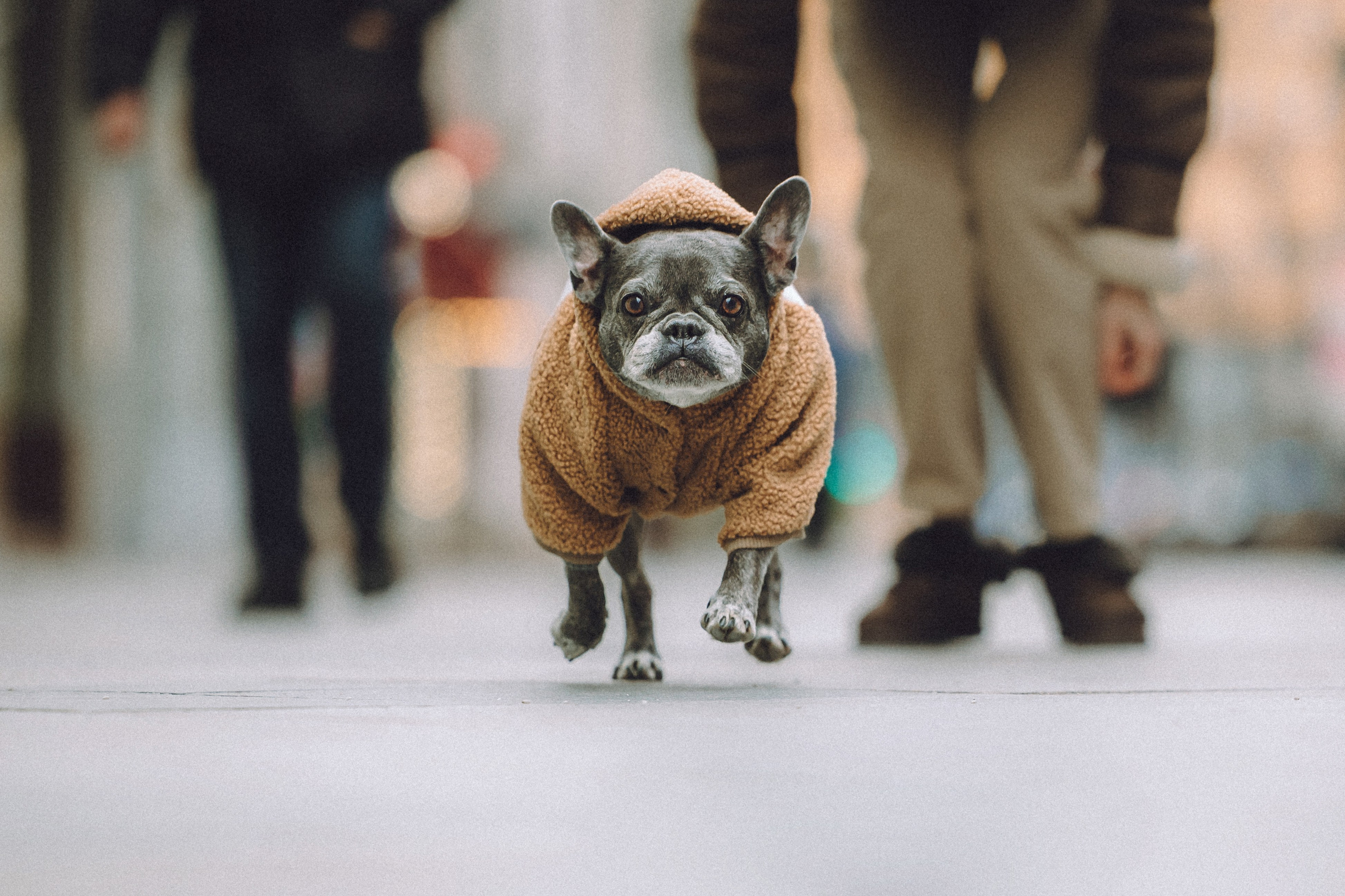 Юля, Вова и Моня