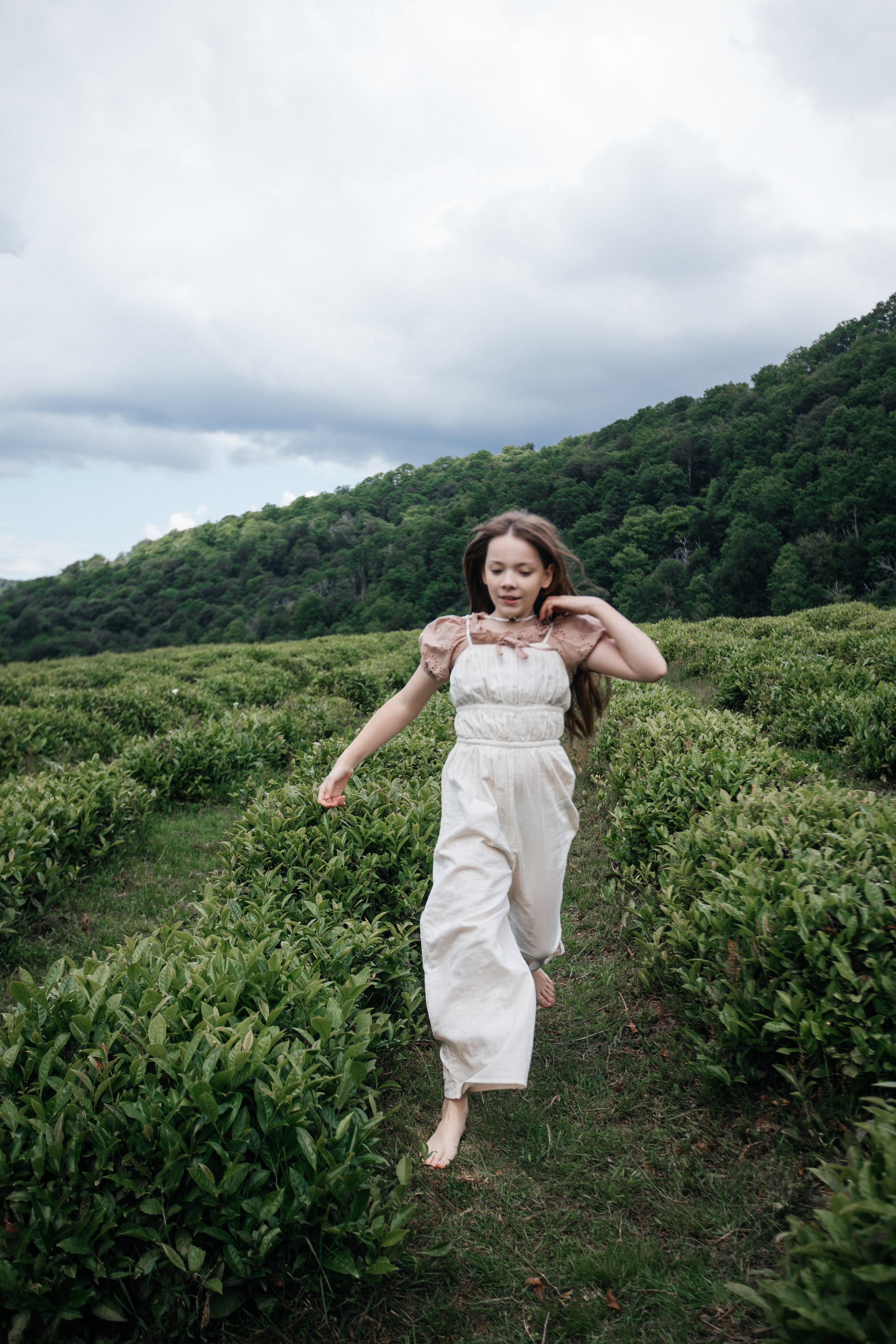 Tea plantation. Efimova Model Agency