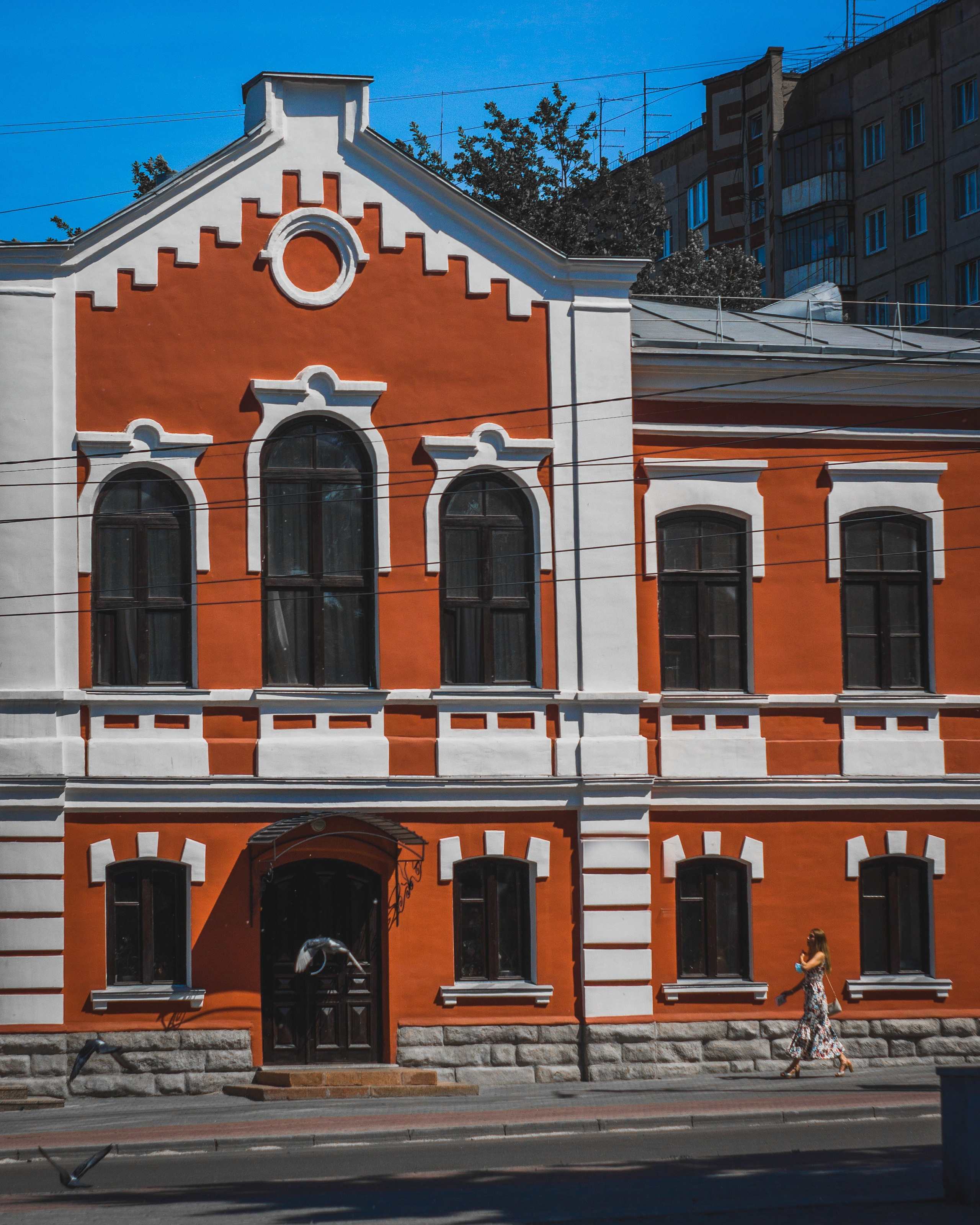 Уличное фото с голубями