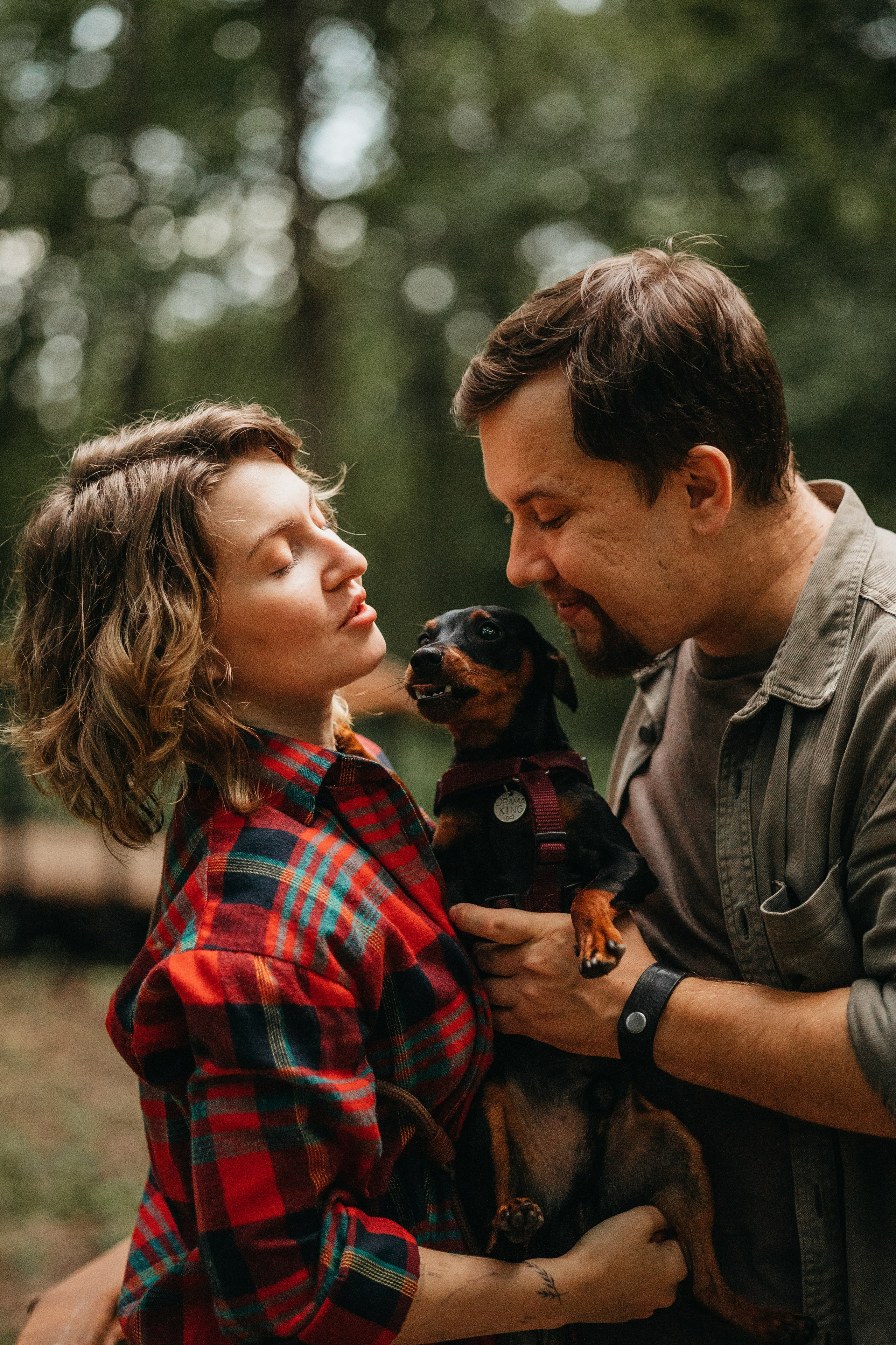 Сириус и его семья. Фотограф — Анималист | Санкт-Петербург