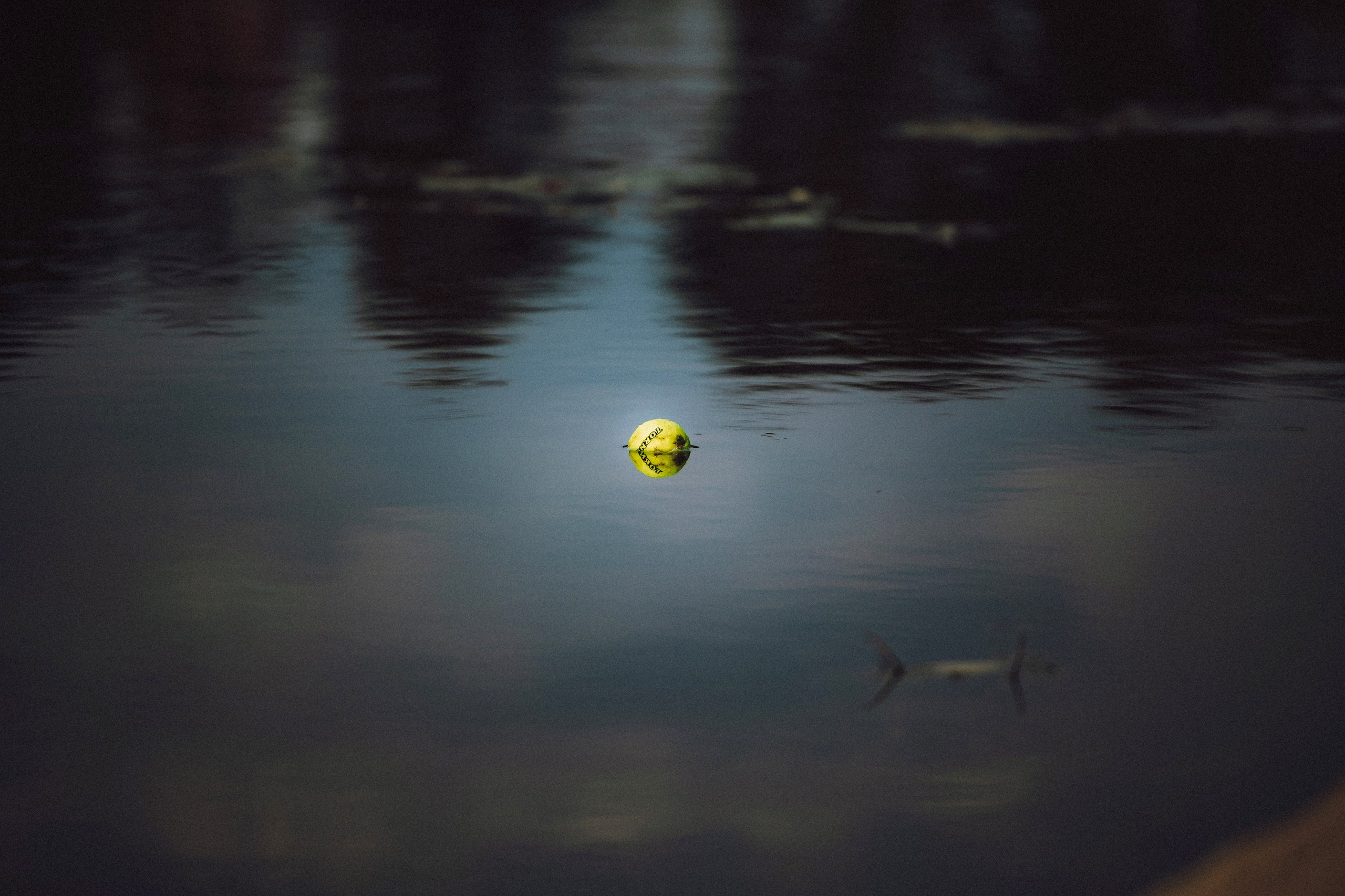 Маша и Ларри