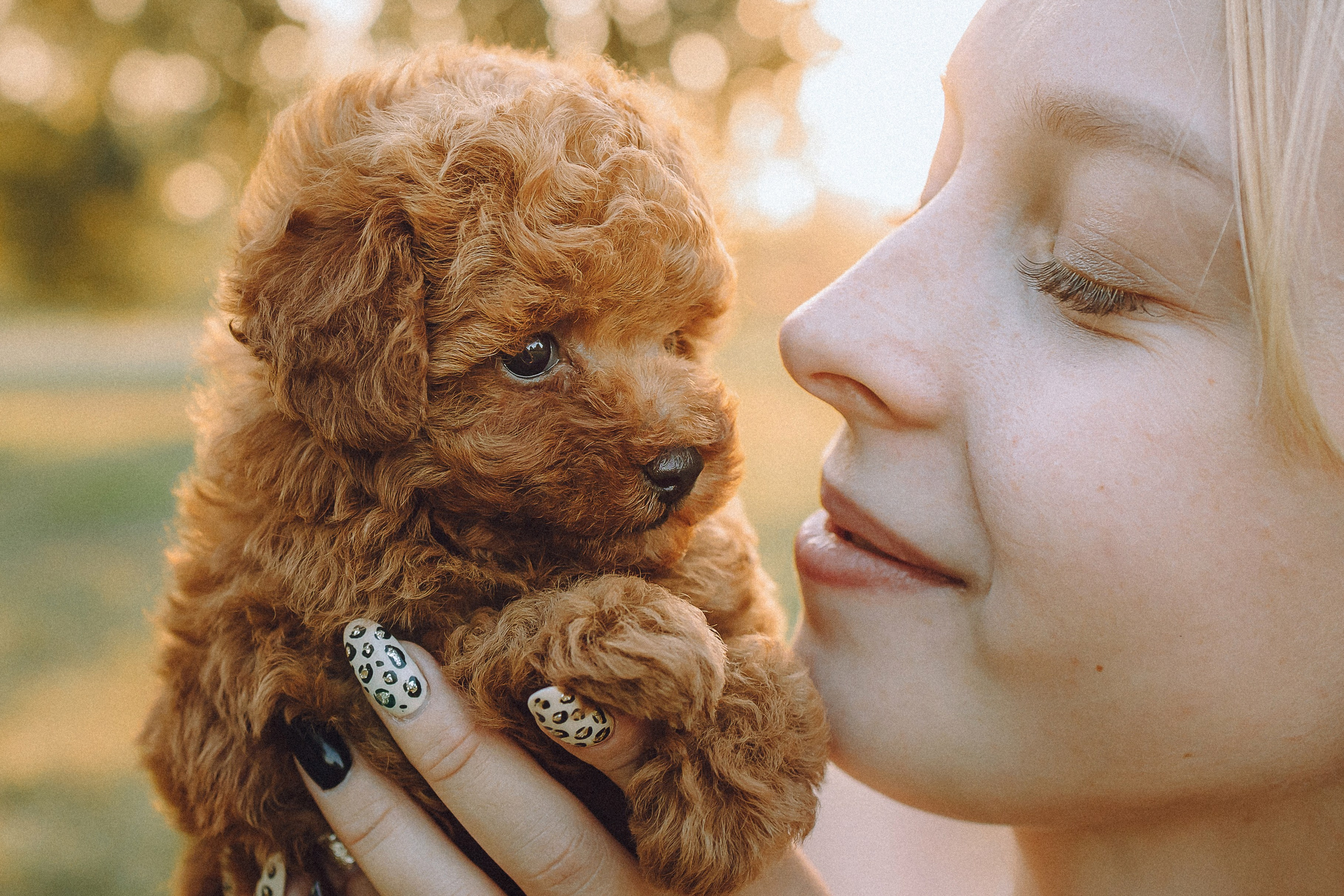 Гречка, Кари и щенки