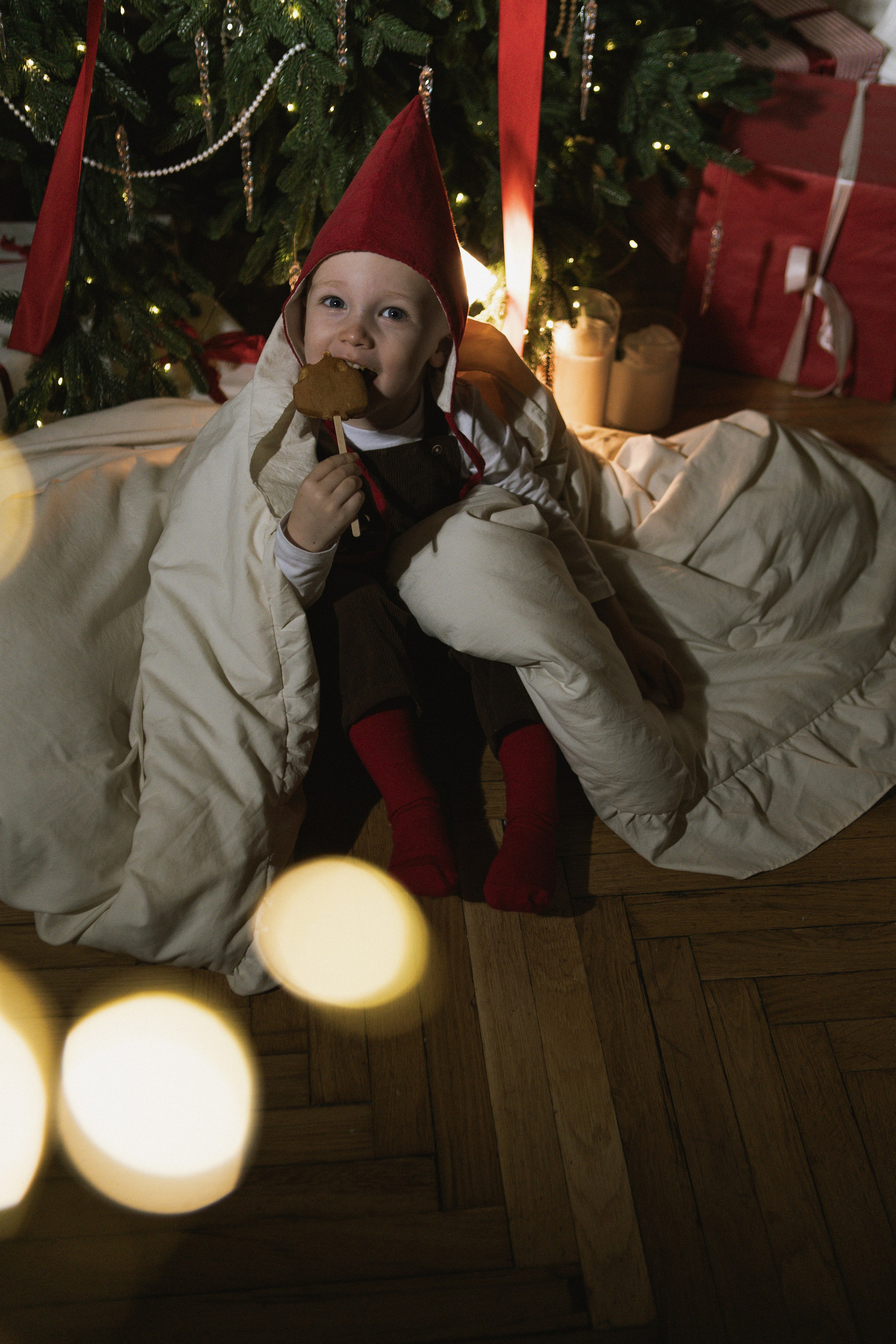 Рождественский гном. Фотограф в Москве Таша Логинова