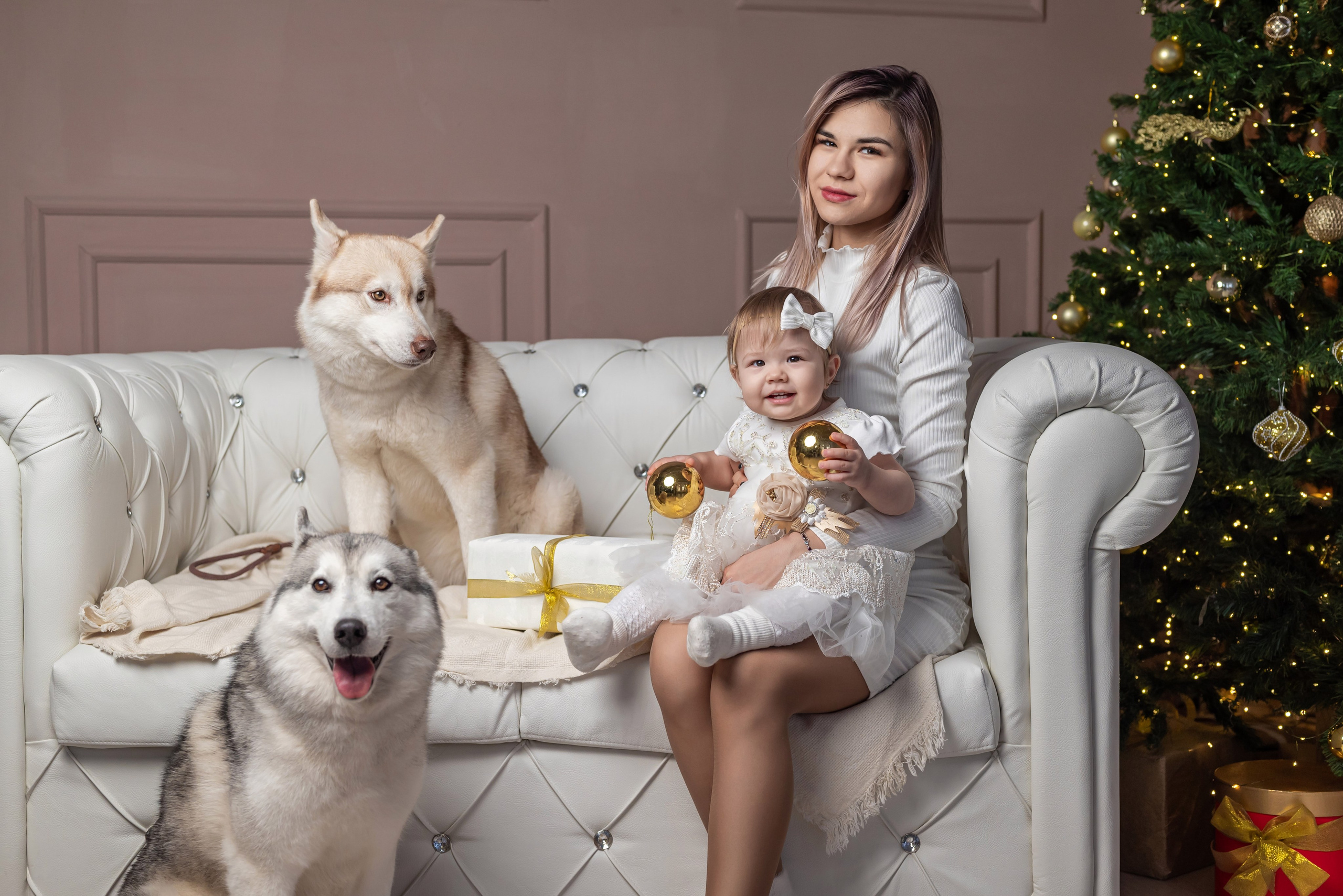 Фотопроект с хаски. Фотограф в городе Салават