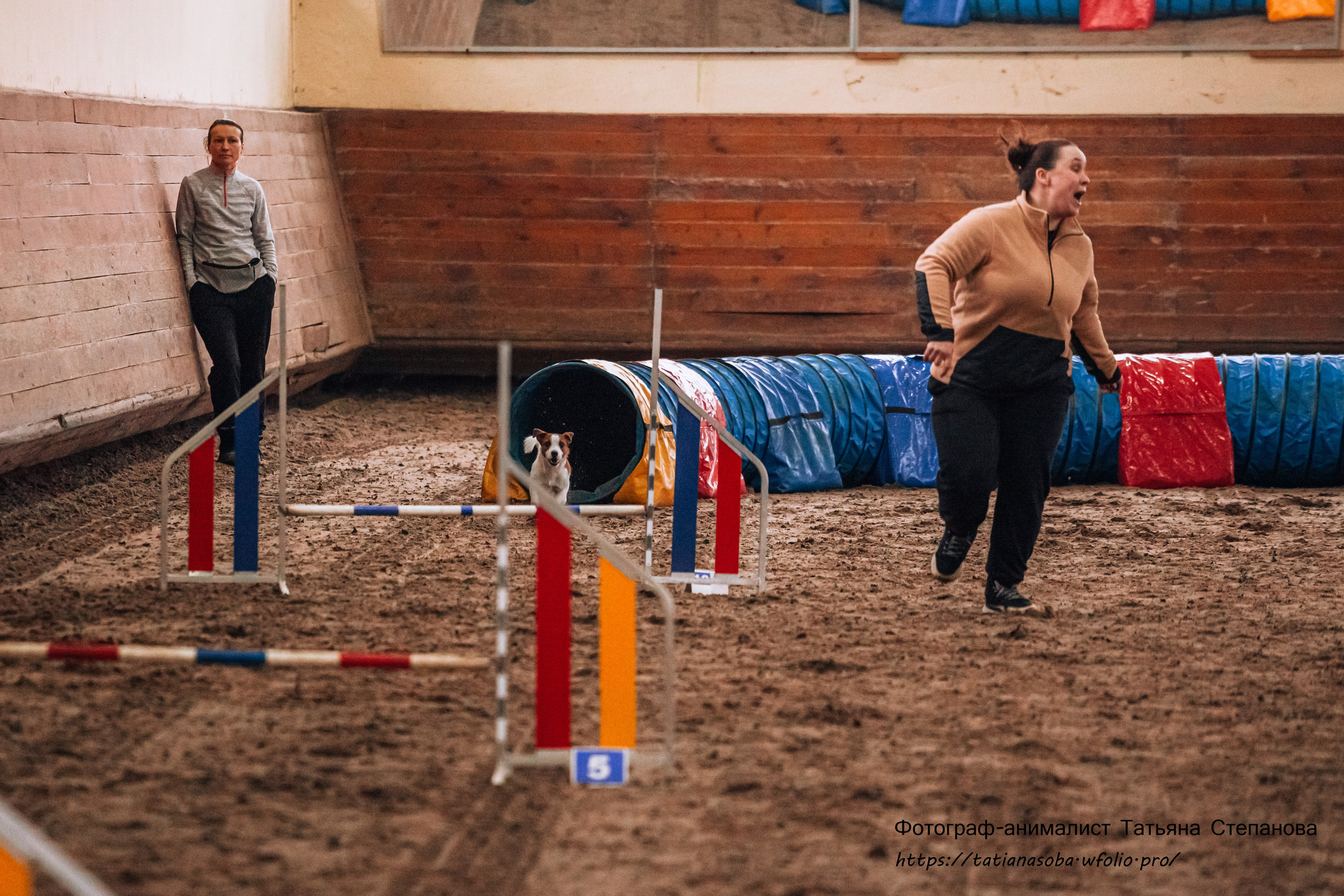 Соревнования по Аджилити 25.02.2024. Фотограф-анималист Татьяна Степанова
