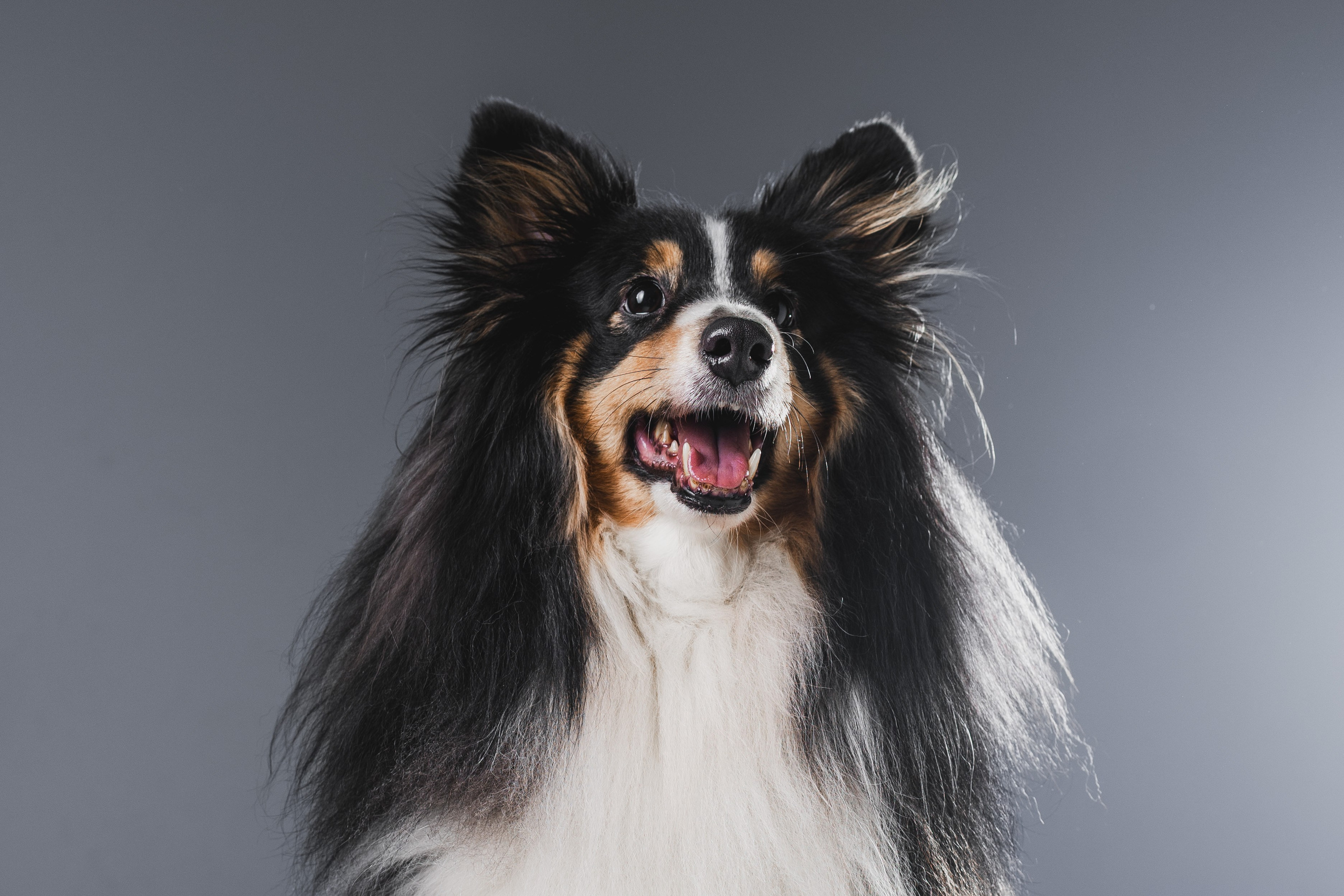 Воркшоп по импульсному свету