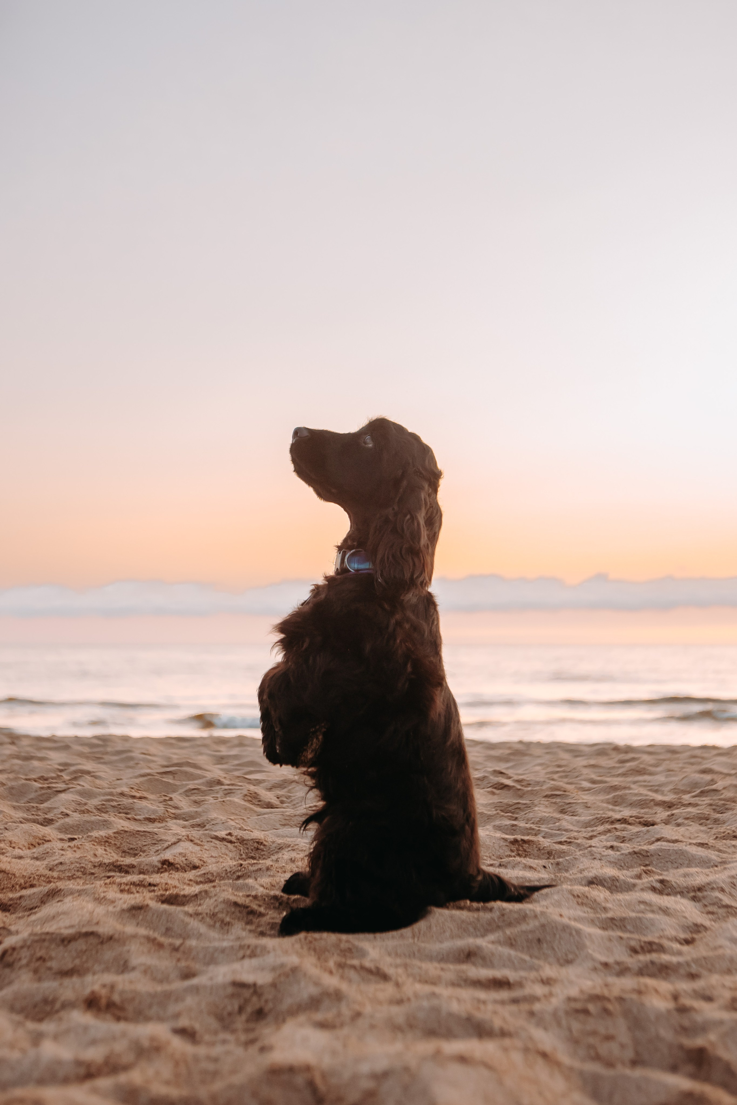 Три поколения. Фотограф-анималист в Санкт-Петербурге Алина Яхонт