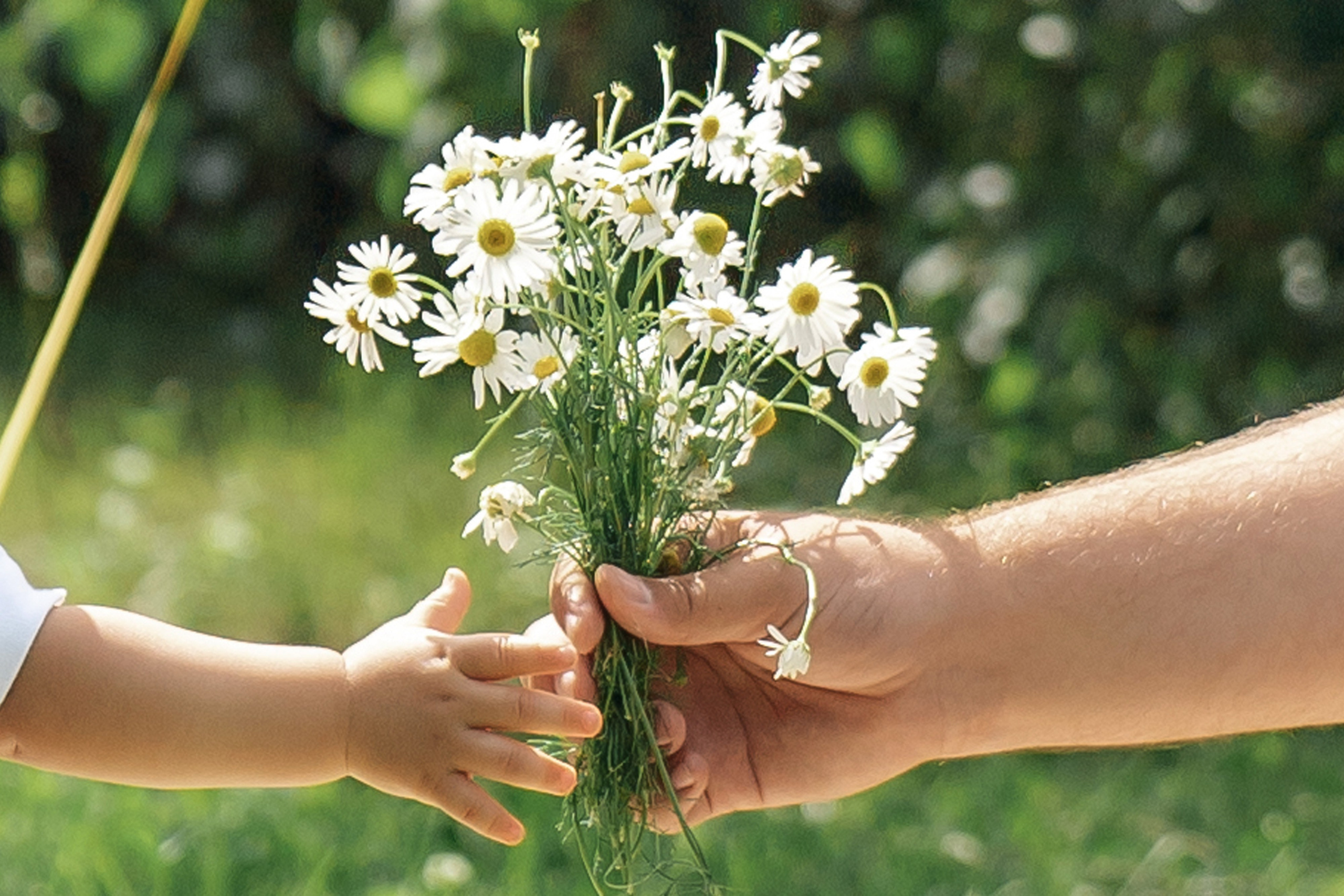 Семейная. Семейный и портретный фотограф в г. Орск Алишер Азимов