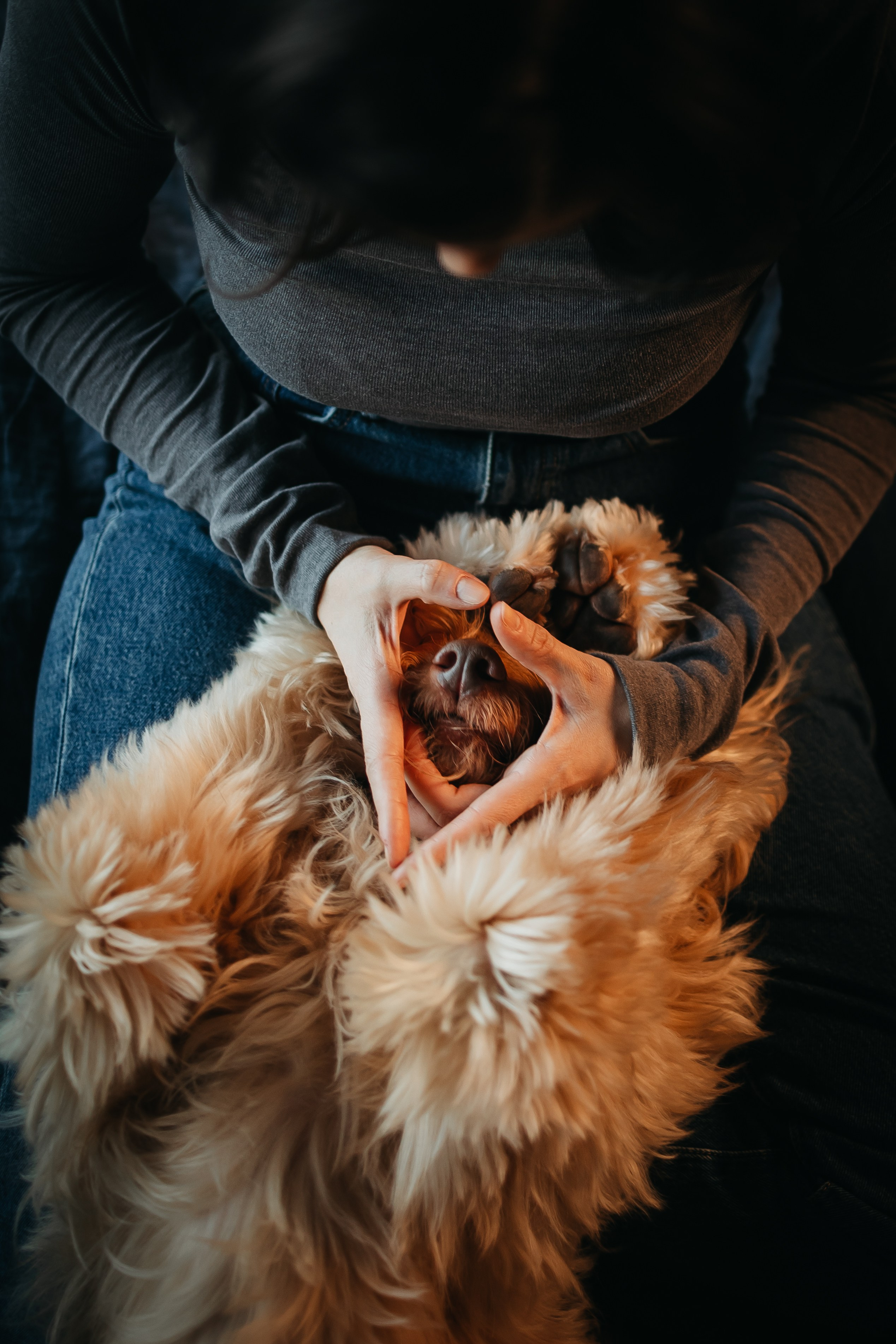 Алина и Фиби. Фотограф-анималист в Санкт-Петербурге Алина Яхонт