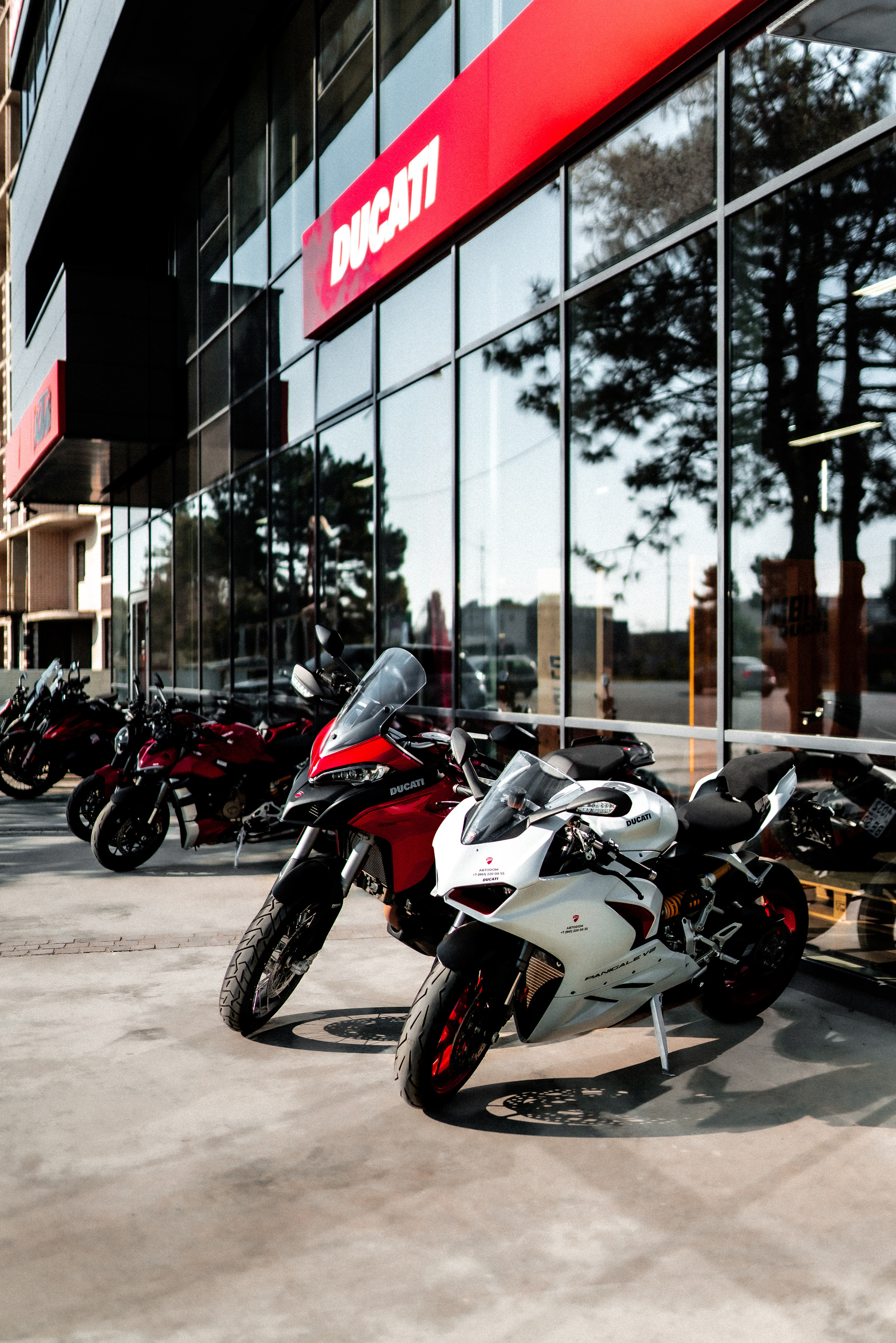 Ducati крансодар. Создаю контент для бизнеса- Андрей Корниенко и упаковываю компании и экспертов в Краснодаре