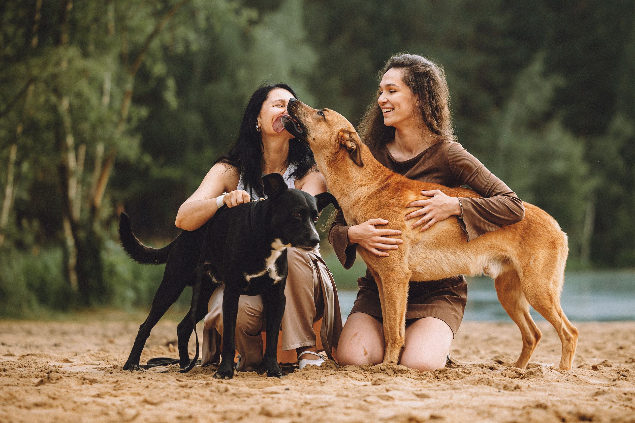 Роби, Тео и их семья