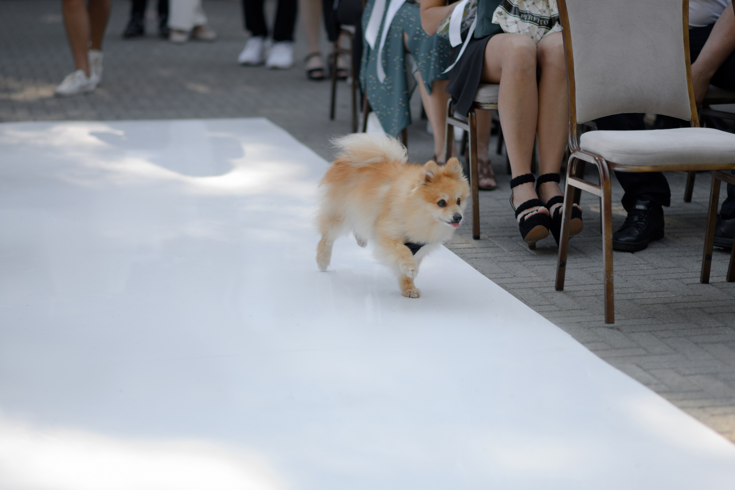 Олег-Лиза — PARK CITY FUSION. Свадебный фотограф Екатеринбург/Челябинск — Любовь Волохова