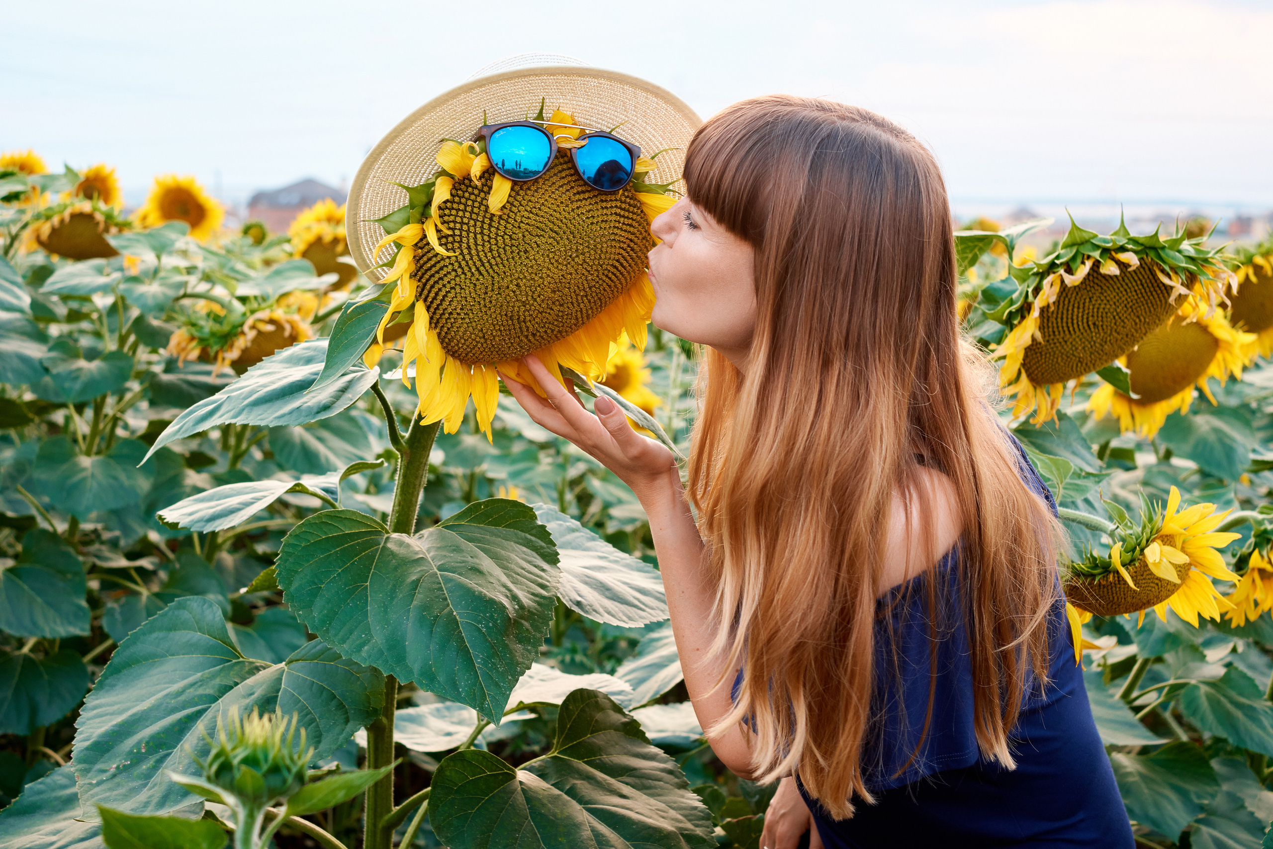 Наталья. Подсолнухи. Фотограф Таганрог Анна Трайжон