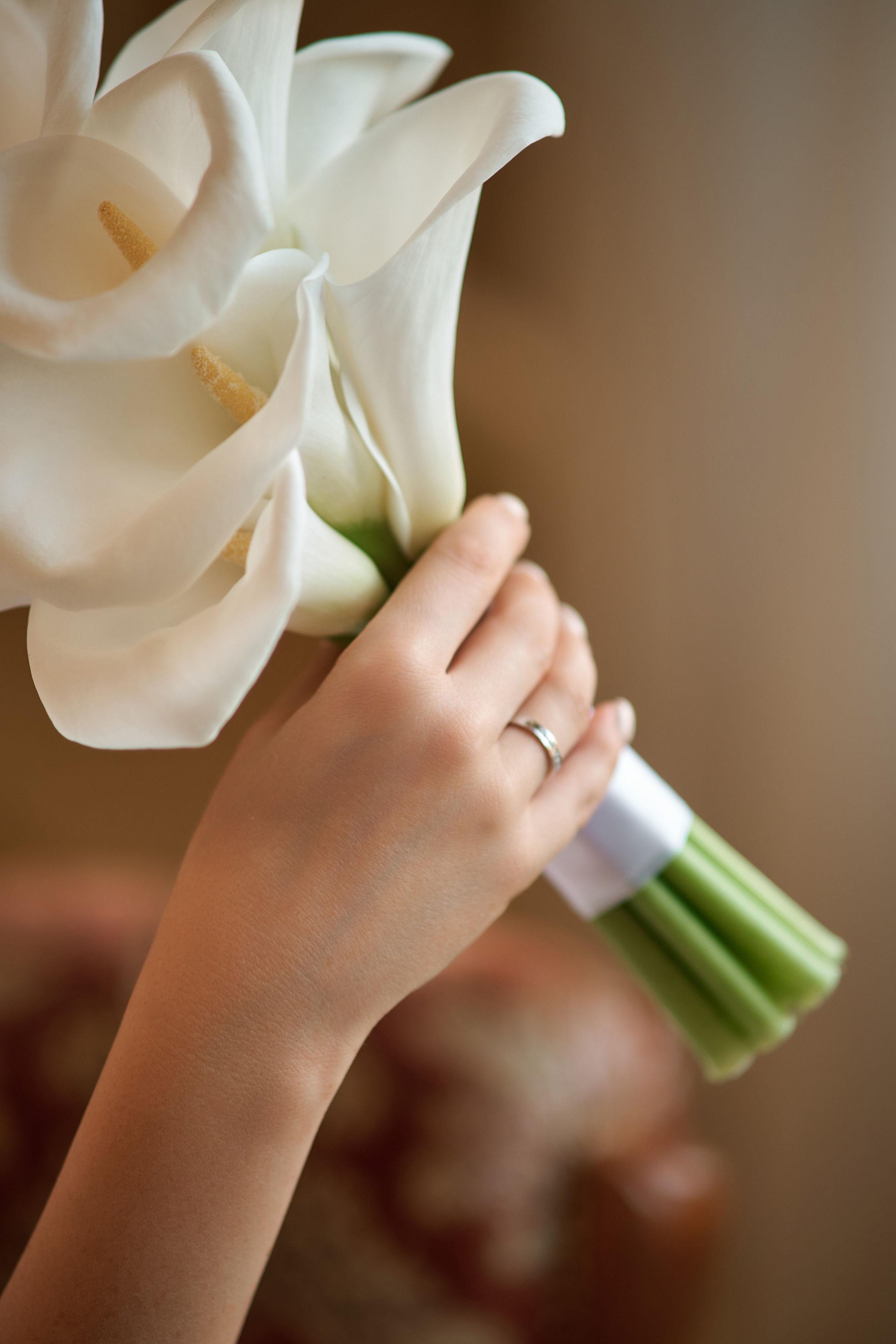 Максим и Оксана. Фотограф Таганрог Анна Трайжон