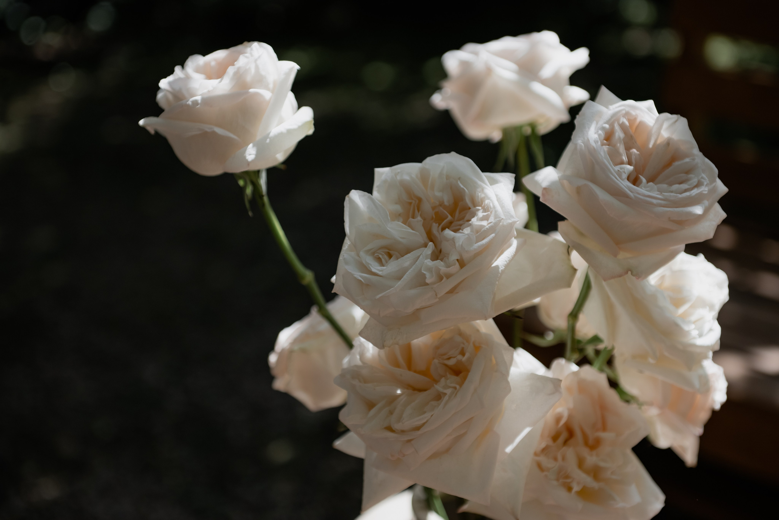 Evgeniy|Diana. Свадебный фотограф в Минске и Санкт-Петербурге Вероника Аксенова