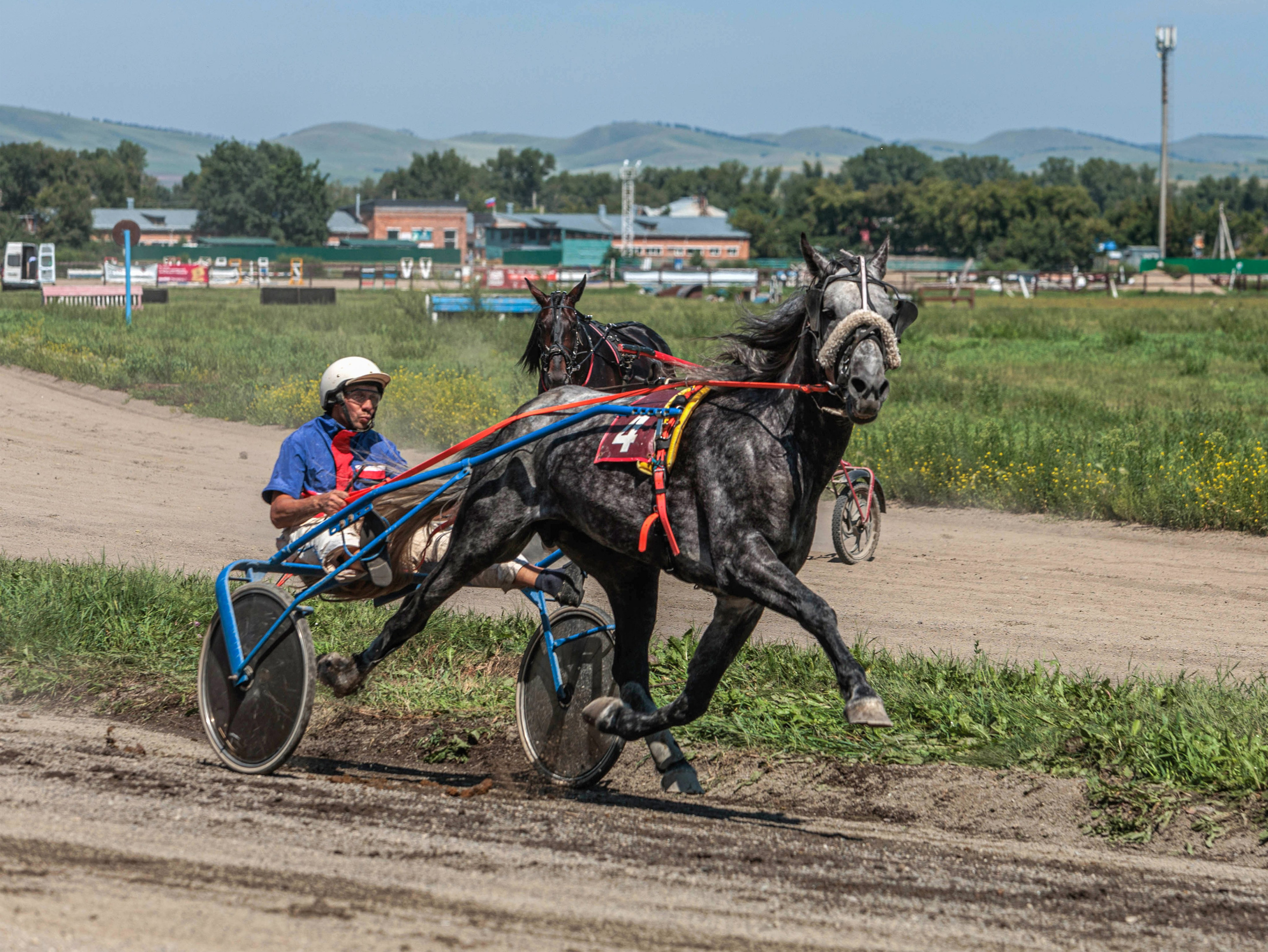 Зарисовки Абаканский ипподром 2025. Конный фотограф в Красноярске — Любовь Похабова