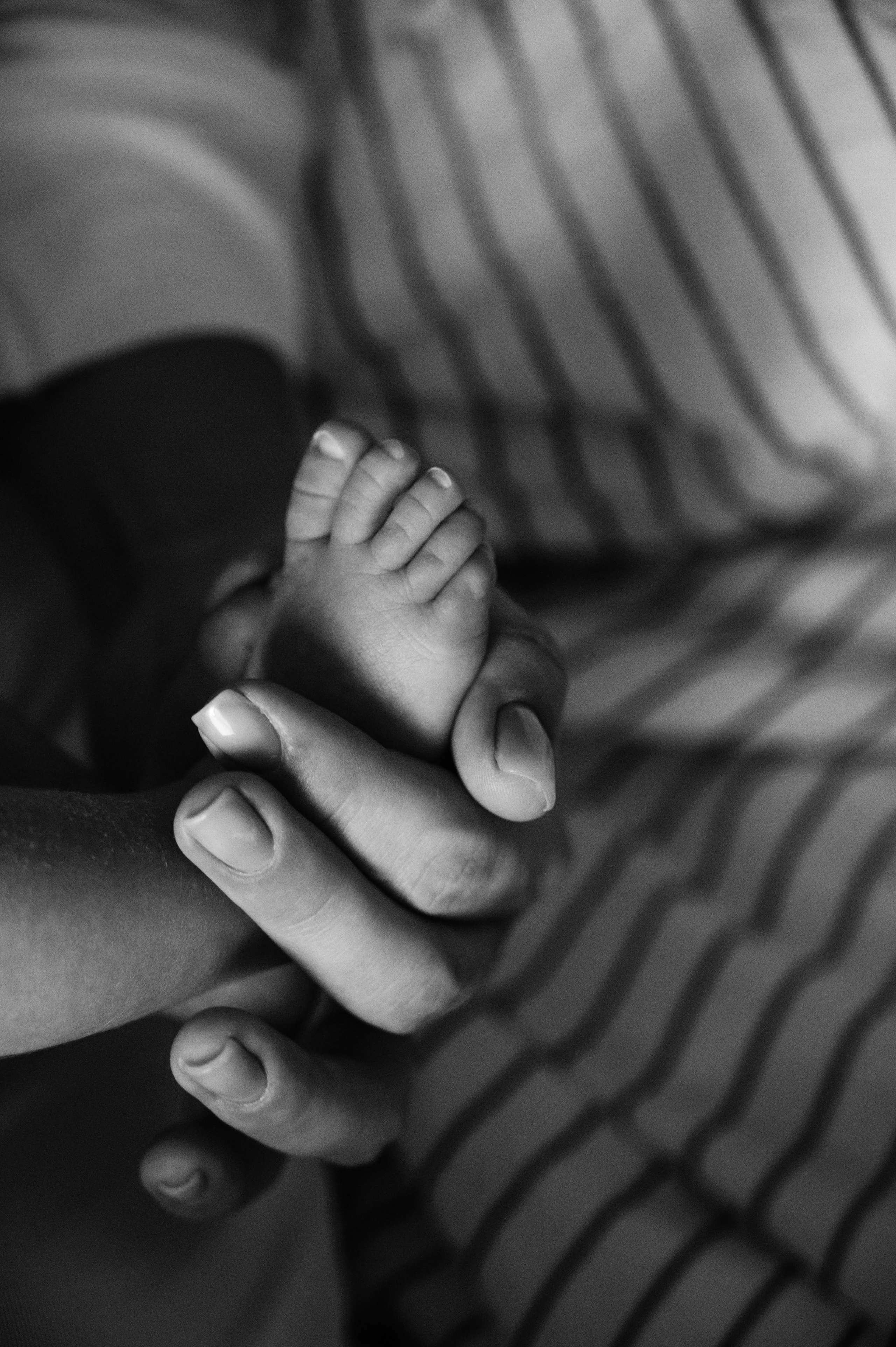 Леночка. Профессиональный фотограф беременности в СПБ. Стильные фотосессии беременности в стиле минимализм и классическая фотография