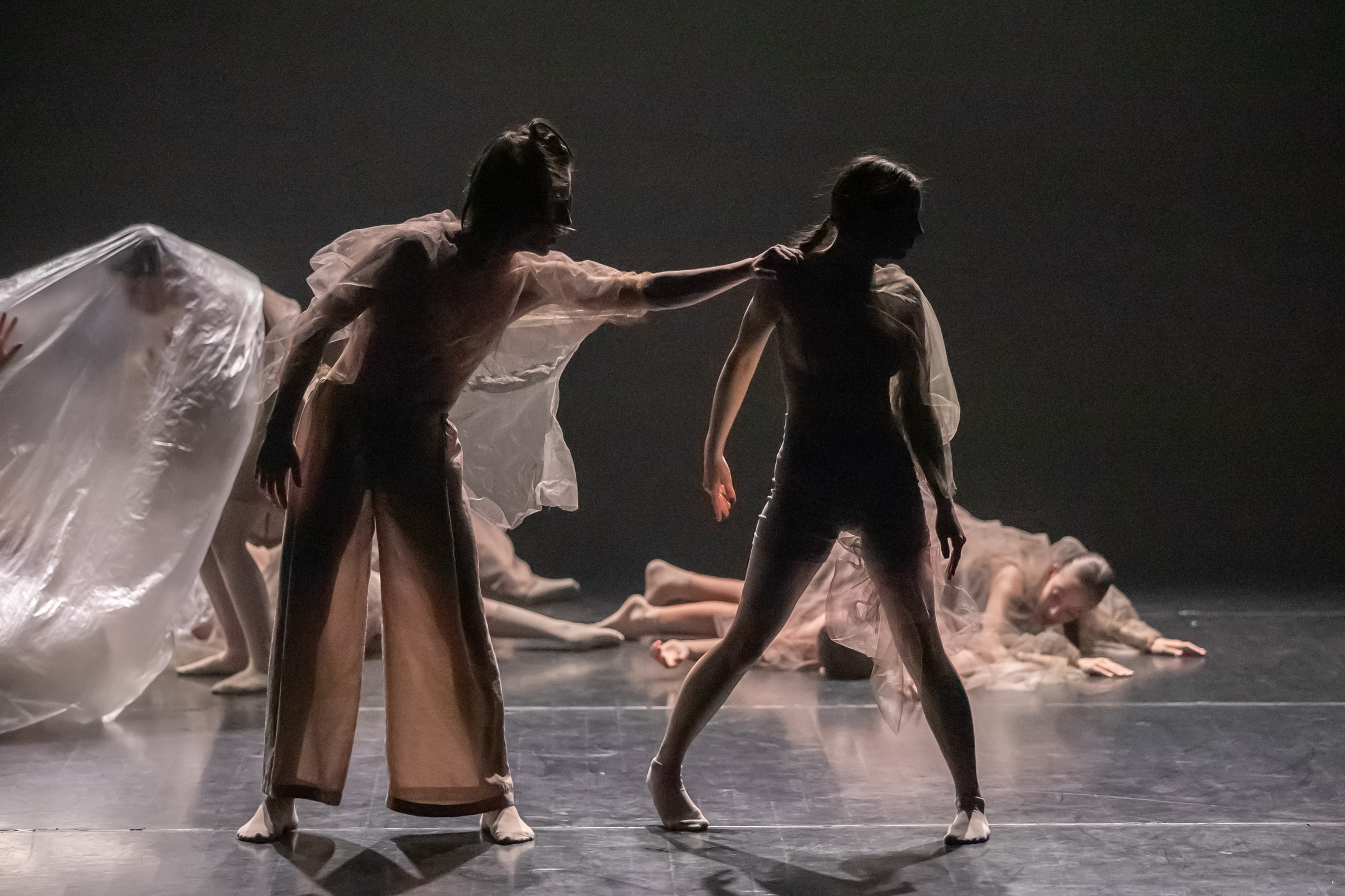 Танцевальные студии. Выпускные альбомы для школ и детских садов — фотокниги и виньетки