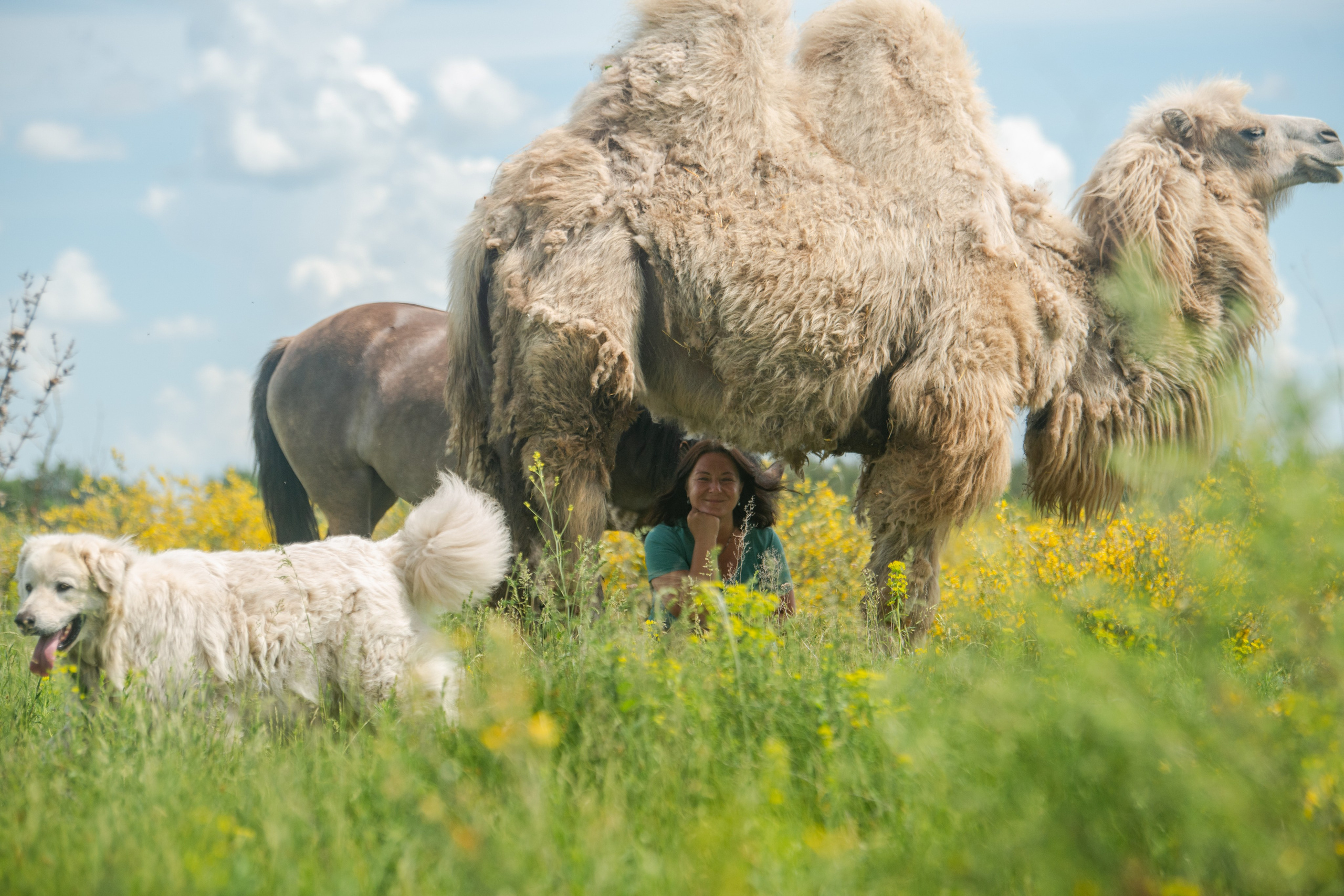 Добрые вяточки. Конный фотограф в Саратове Юлия Иванова