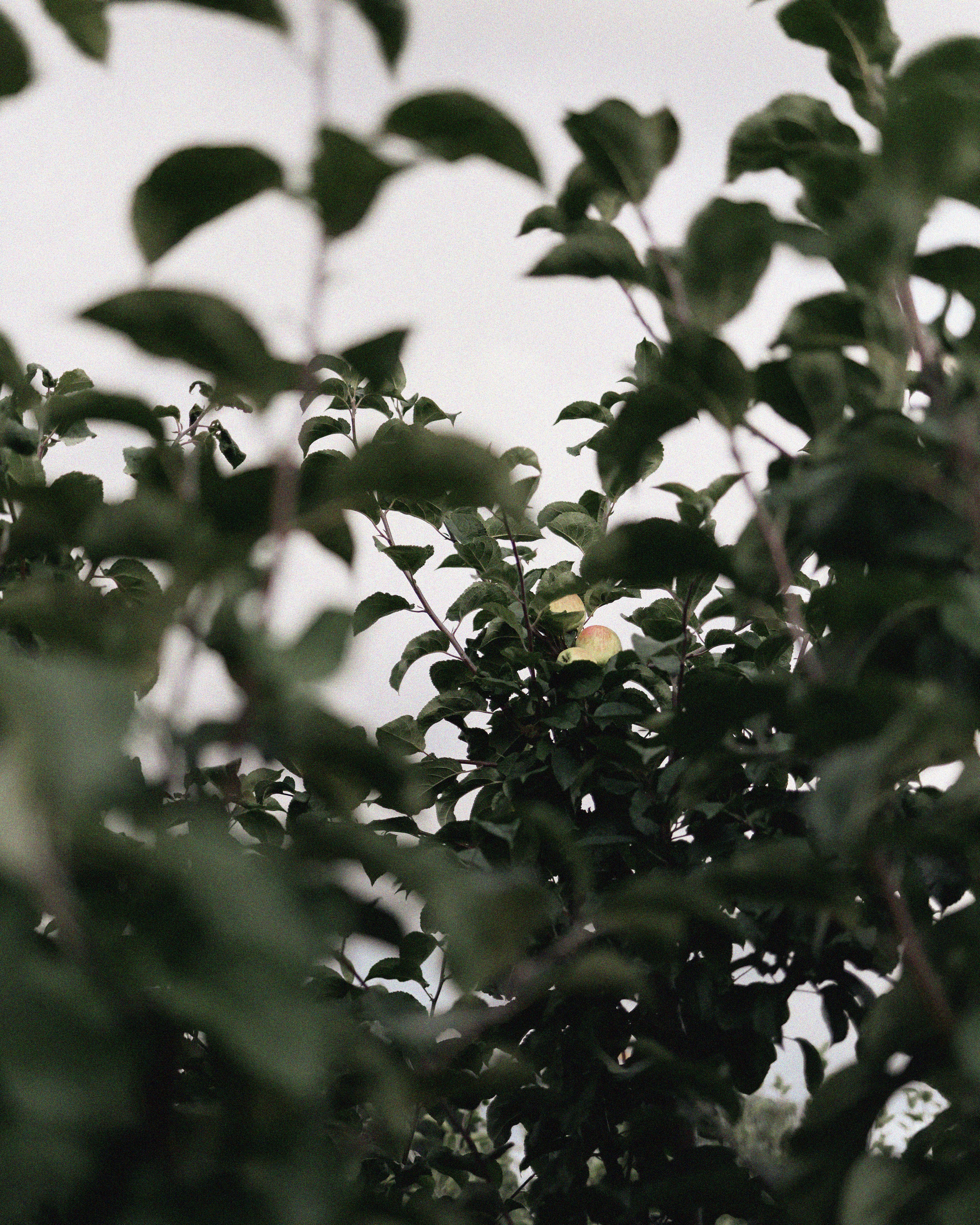 Лена. Фотограф Москва Юлия Казакова