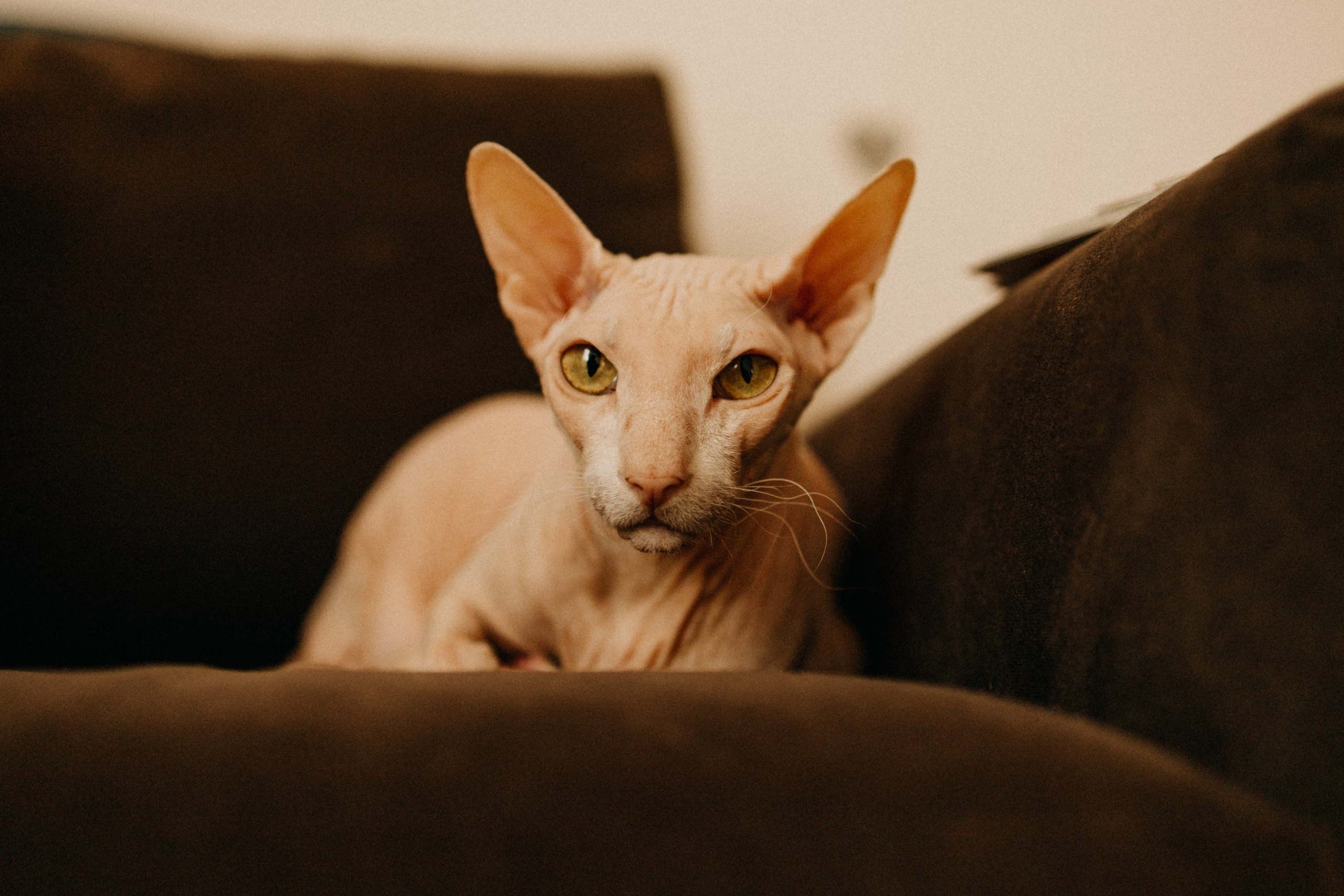 Дома. Фотограф Настя Леонова