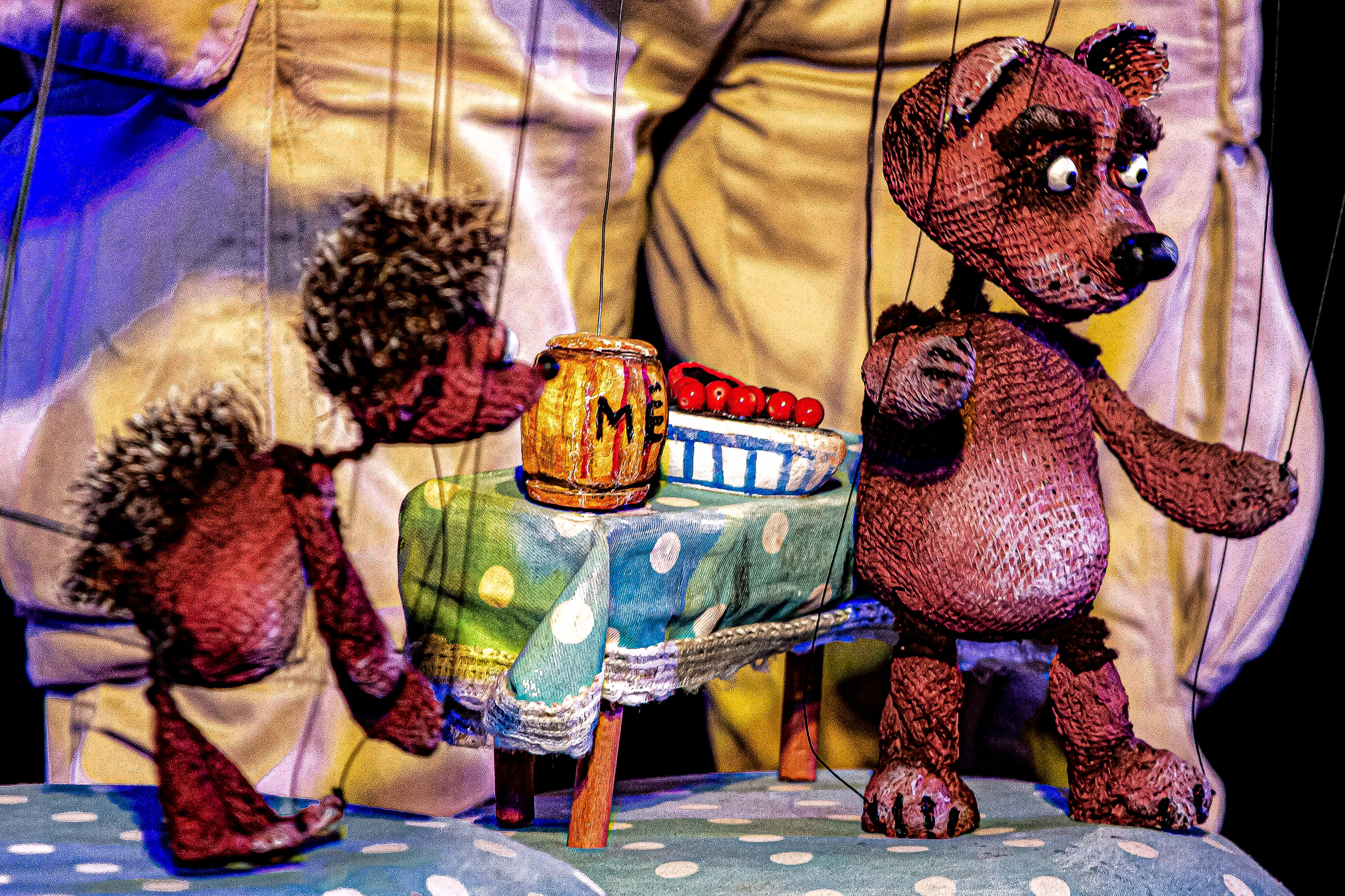 Колючая сказка. Фотограф в Сочи Юрий Шептаев